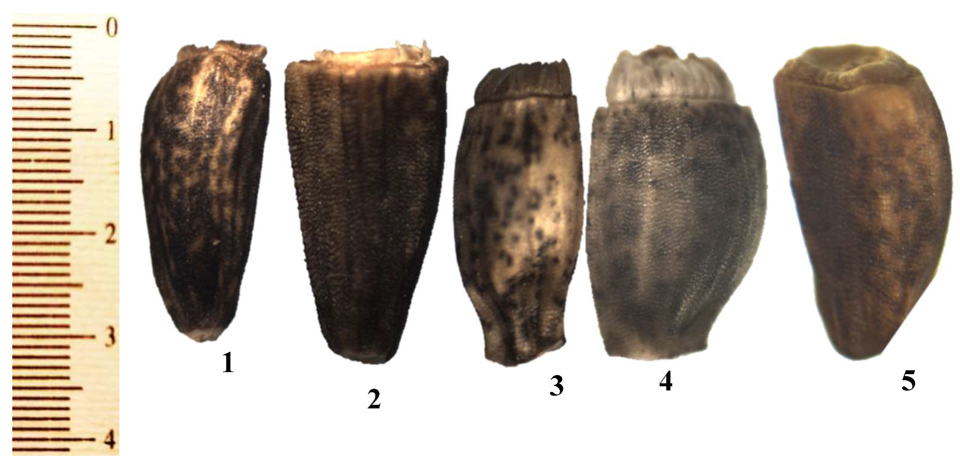 Plants 12 00388 g002