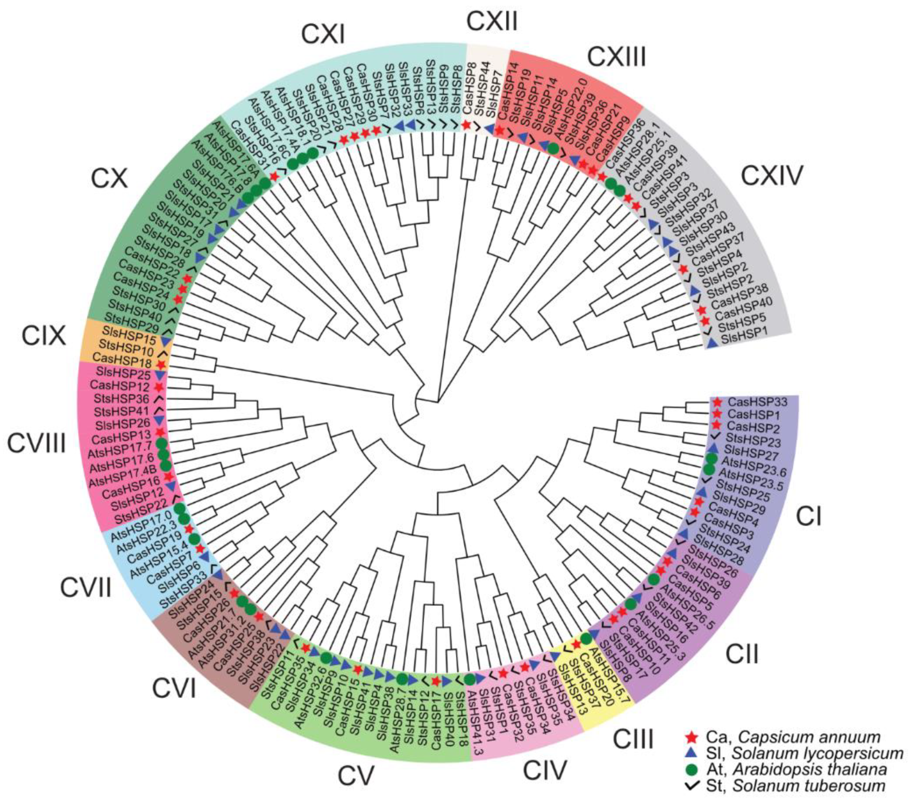 Plants 12 00389 g003