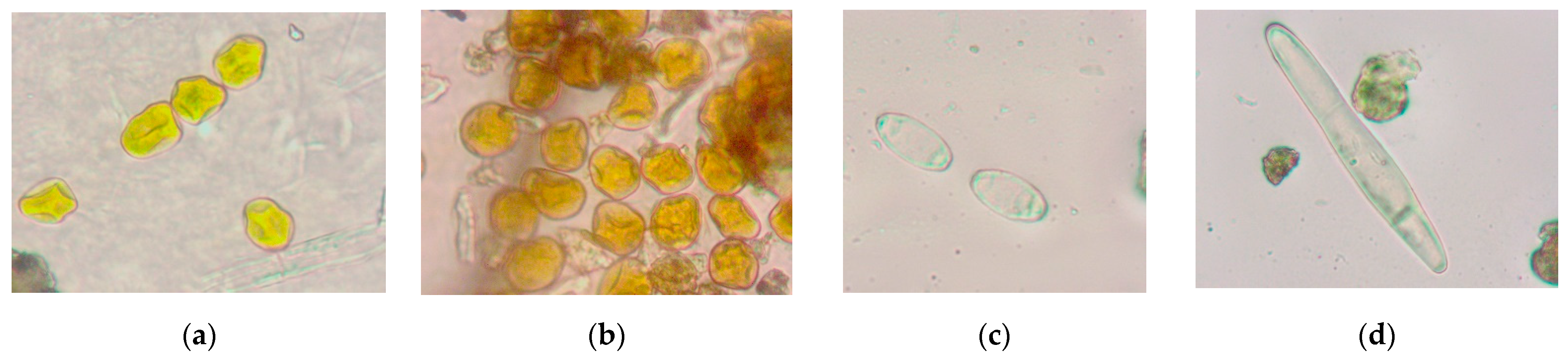 Plants 12 00391 g002