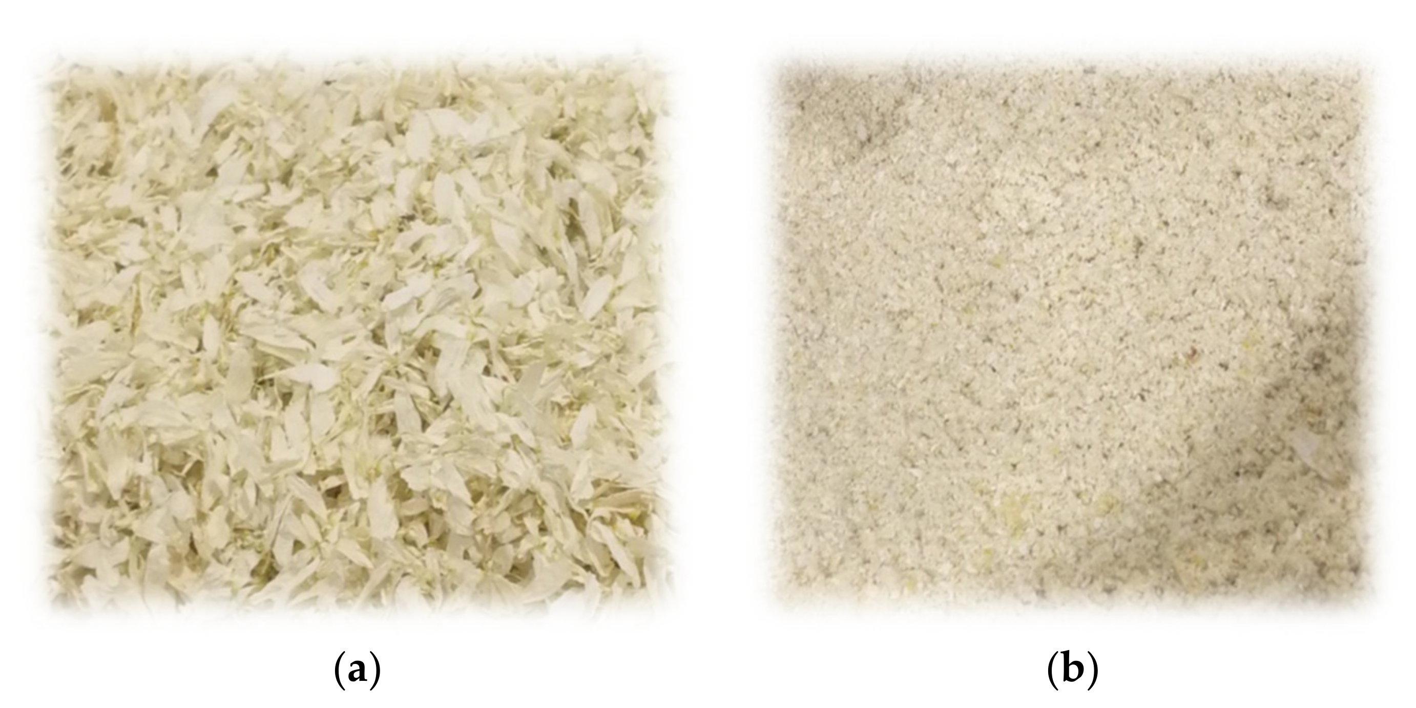 Plants 12 00396 g008