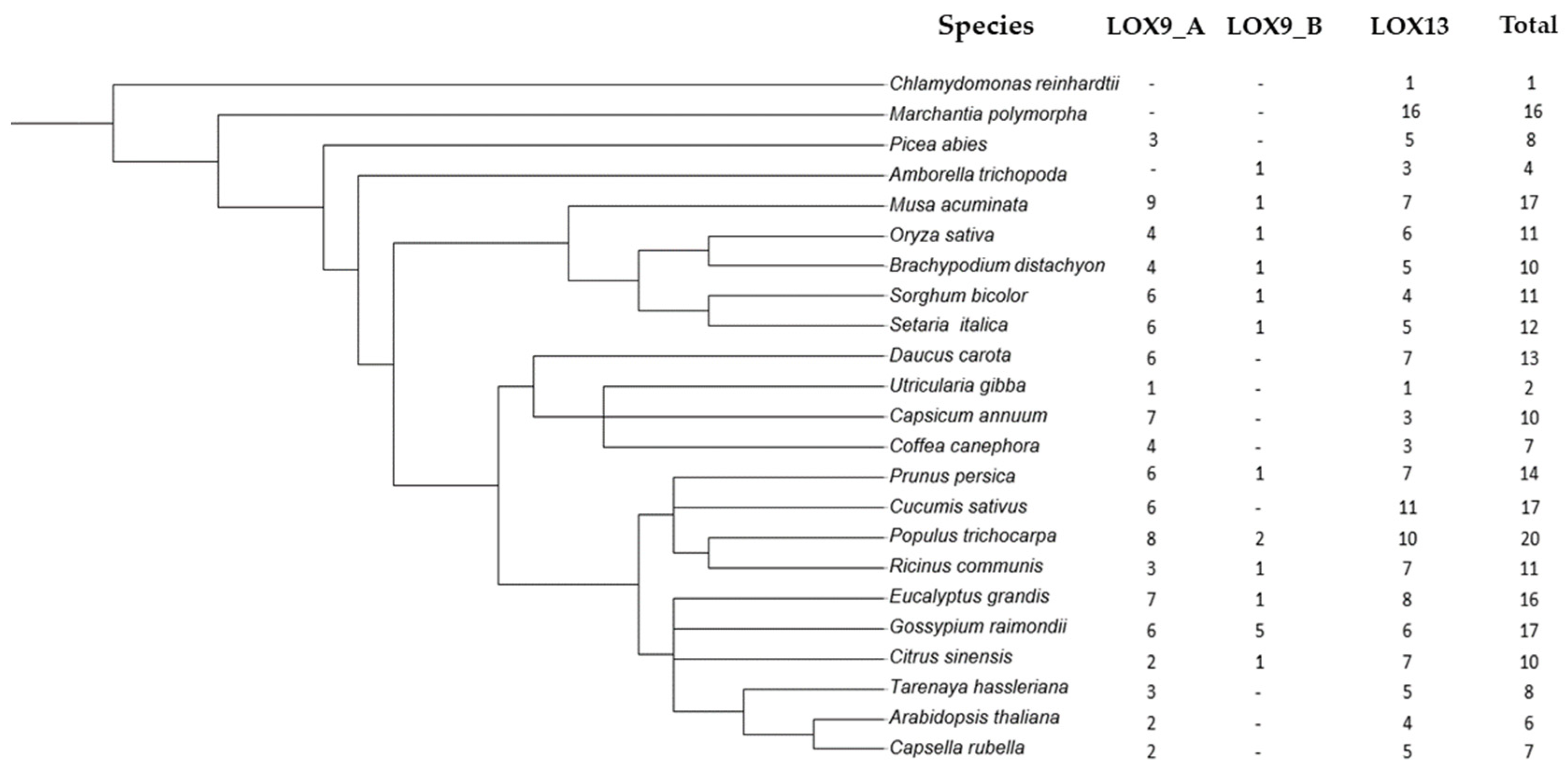 Plants 12 00398 g001