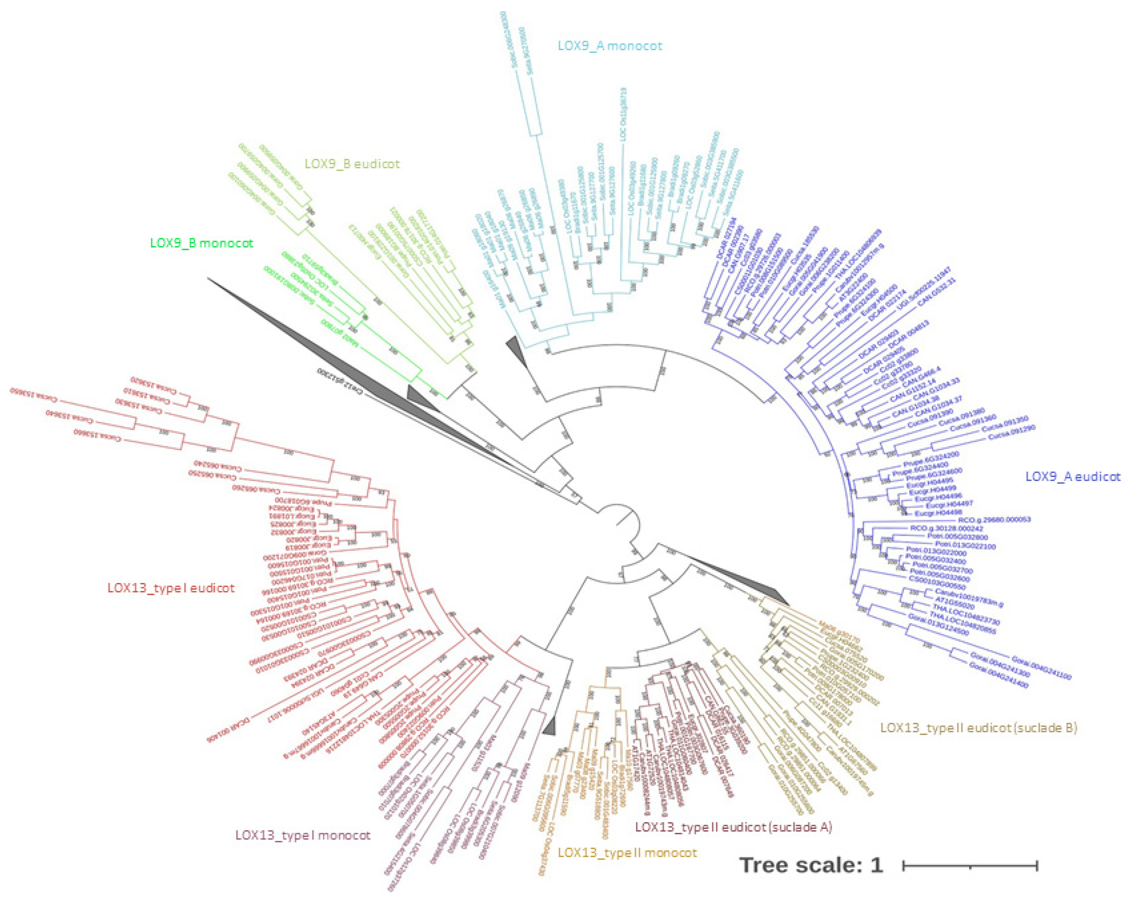 Plants 12 00398 g002