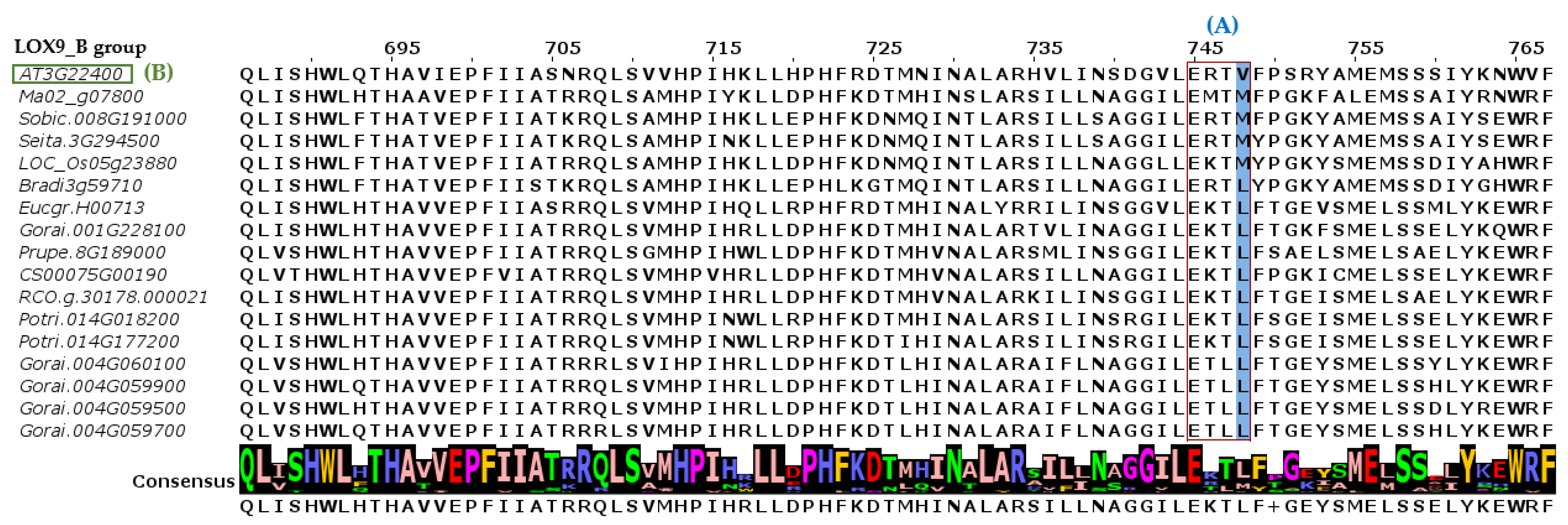 Plants 12 00398 g003