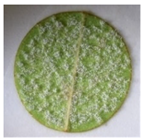 Plants 12 00404 i001 Plants 12 00404 i001