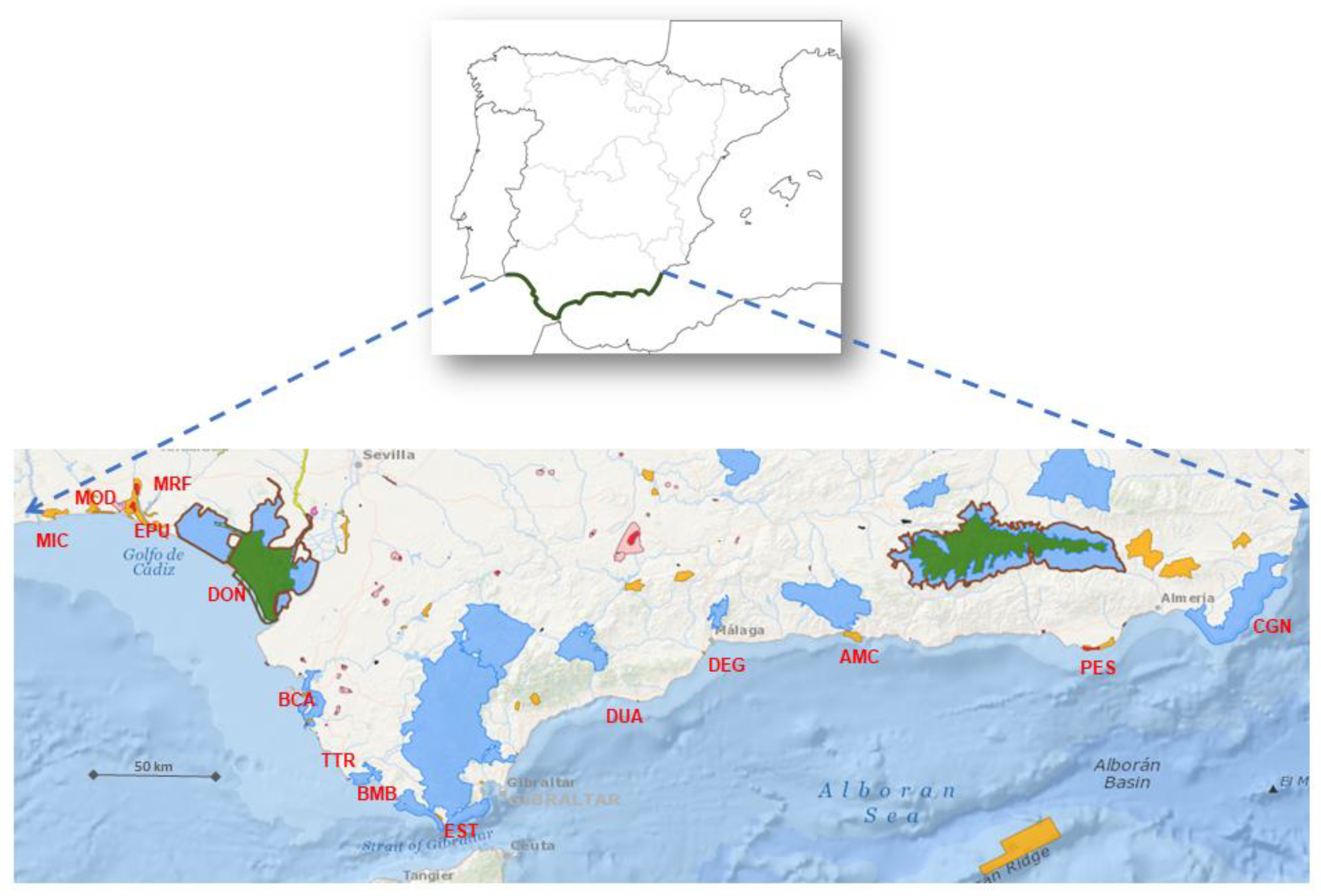 Plants 12 00406 g008