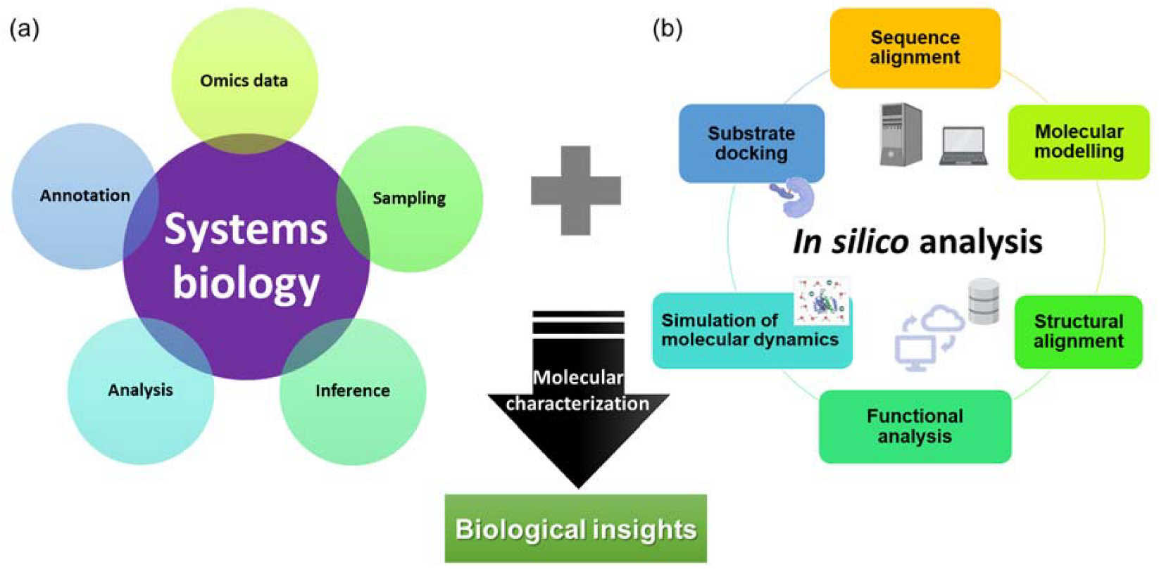 Plants 12 00408 g001