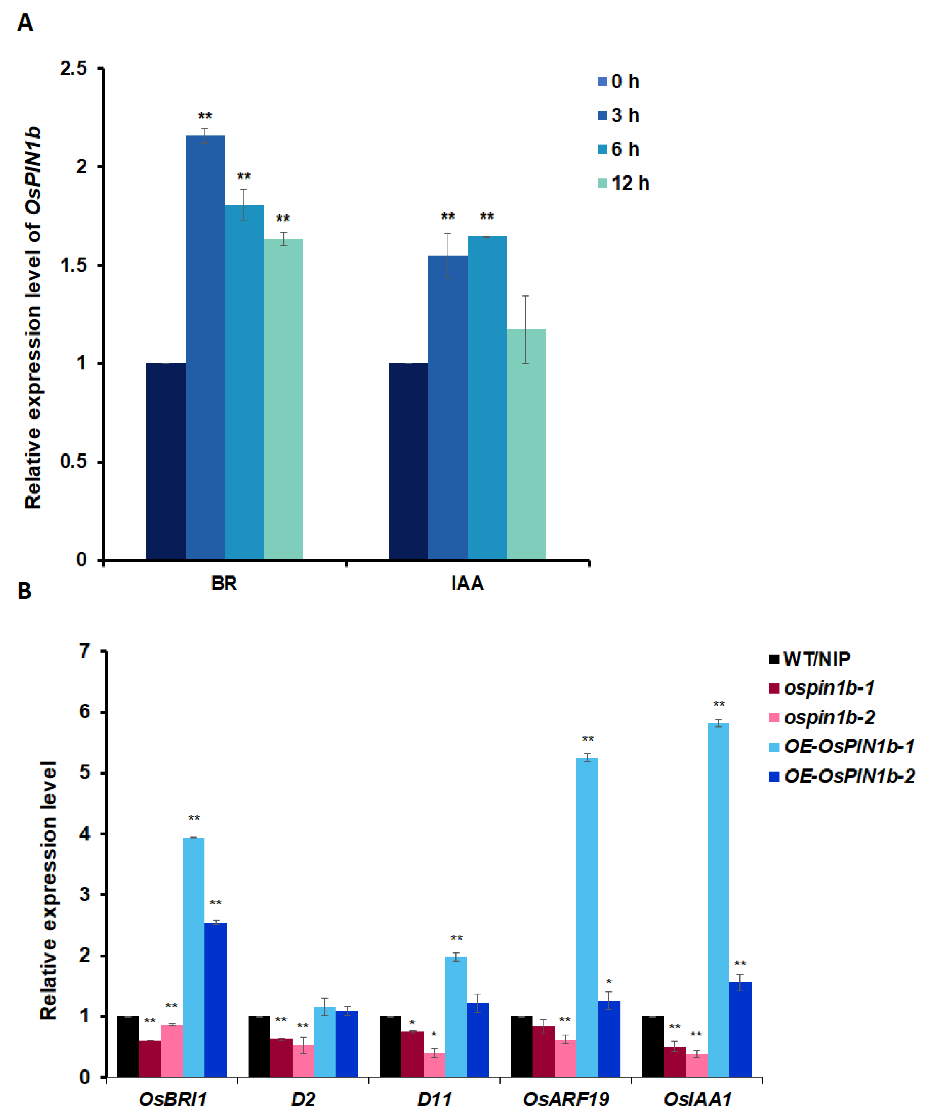 Plants 12 00409 g006