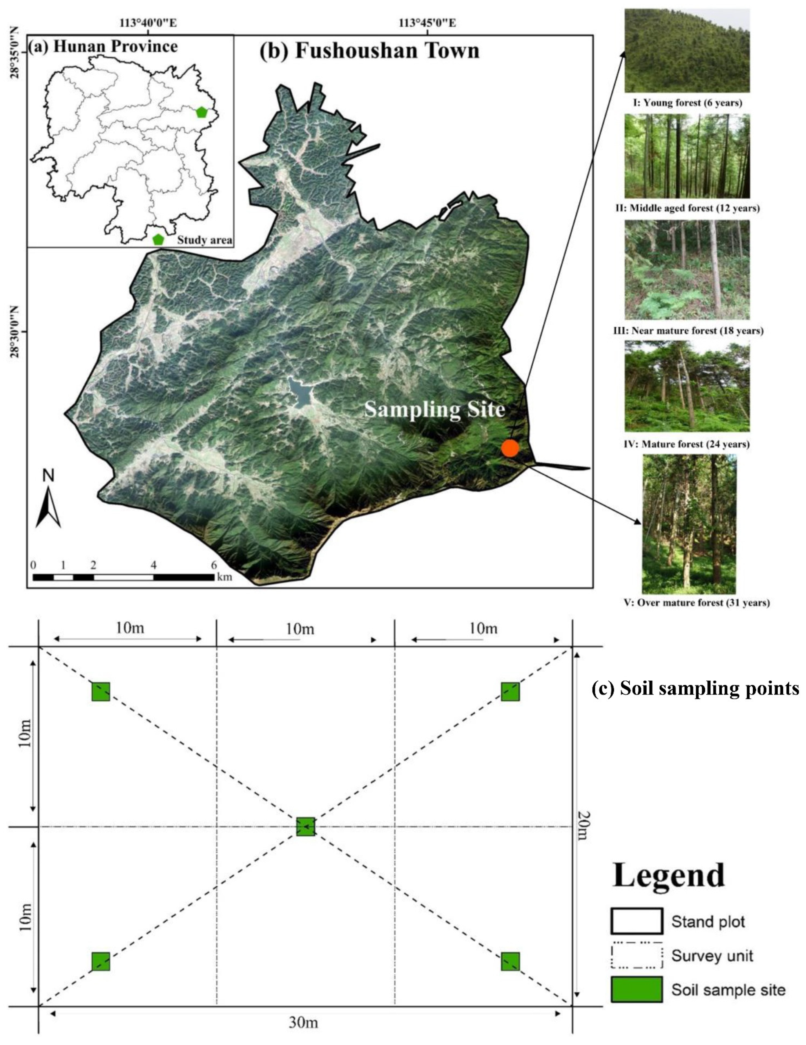 Plants 12 00410 g004