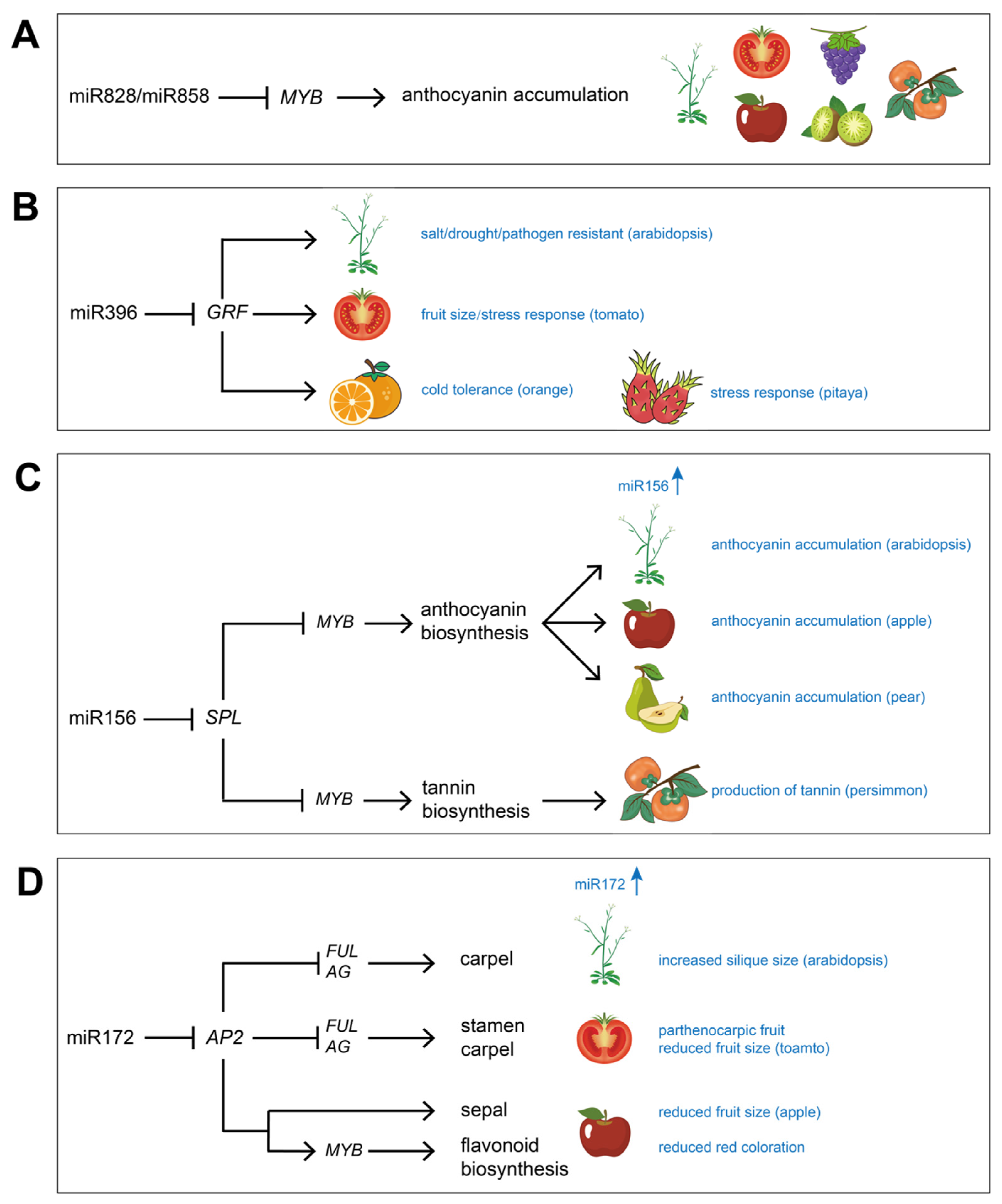 Plants 12 00411 g002