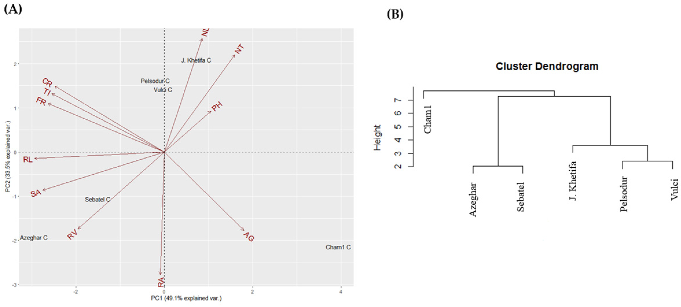 Plants 12 00412 g002