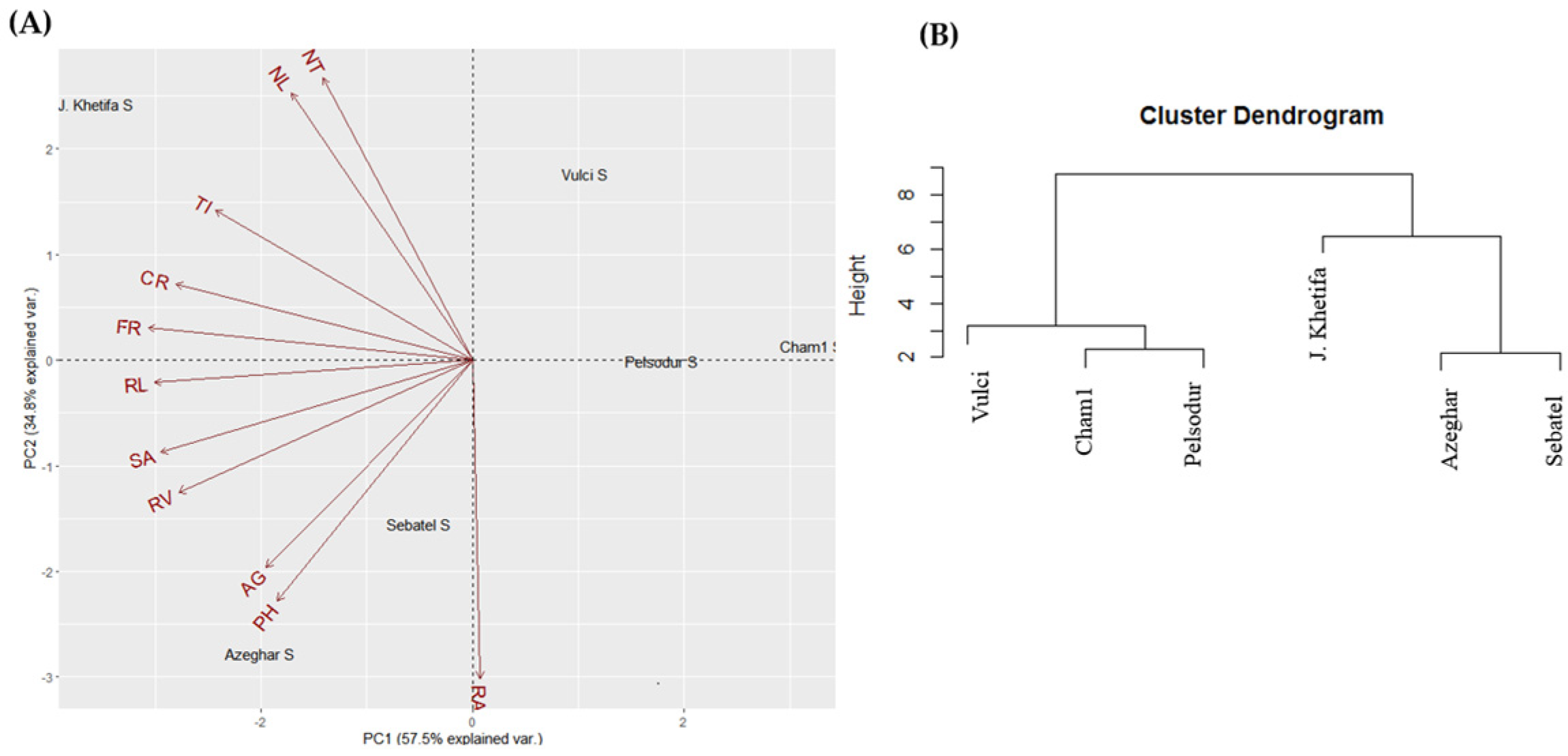 Plants 12 00412 g003