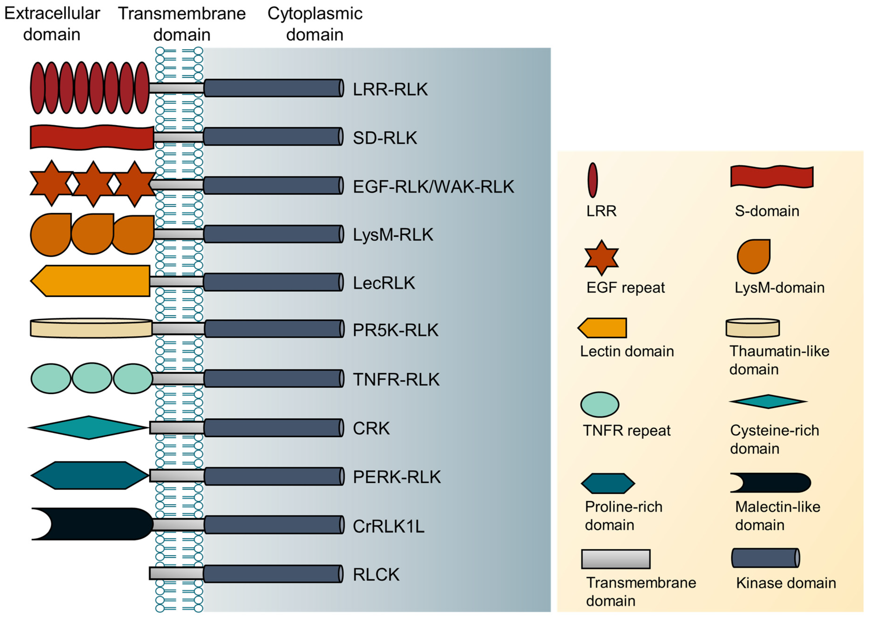 Plants 12 00427 g002 Plants 12 00427 g002