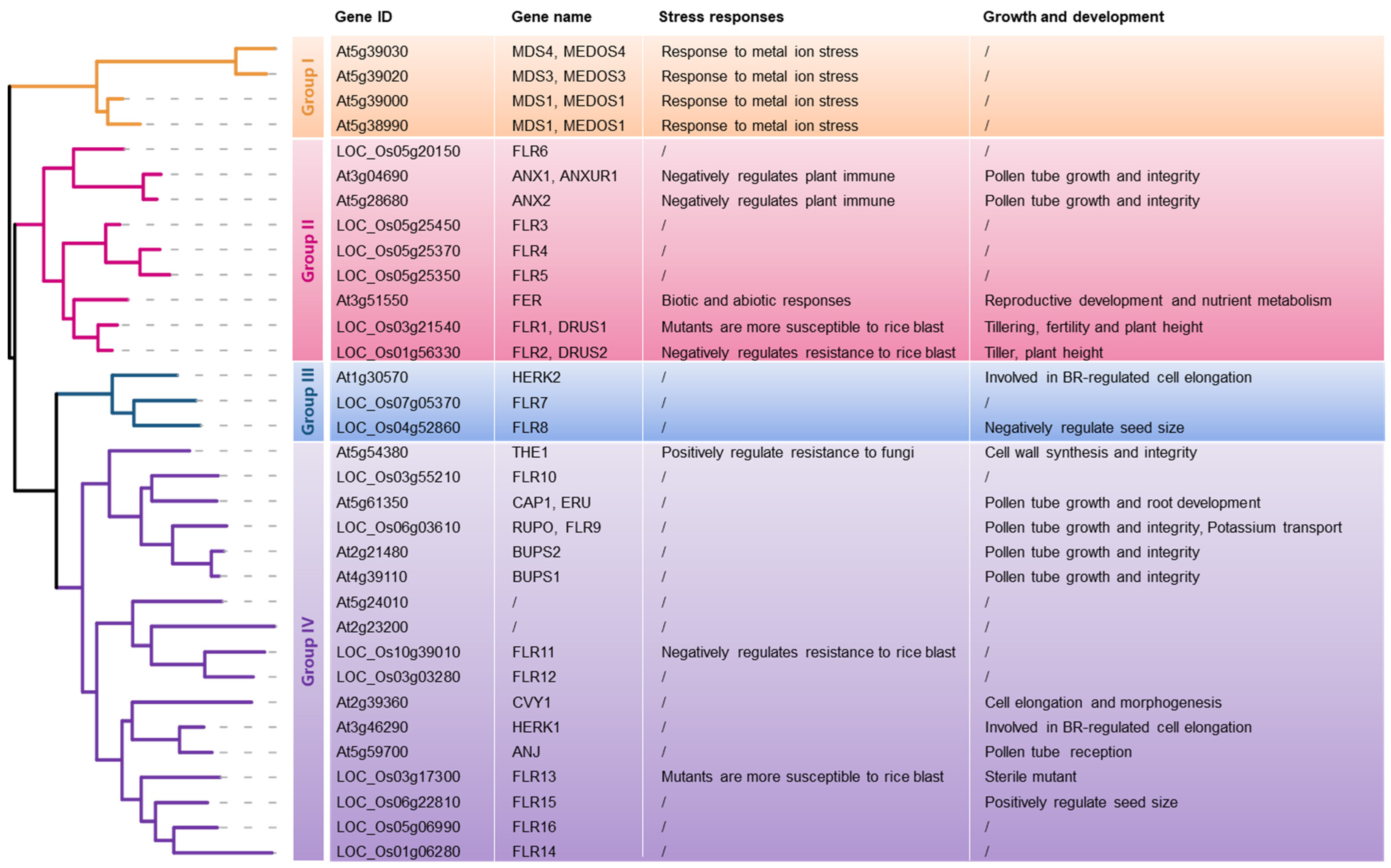 Plants 12 00427 g004 Plants 12 00427 g004