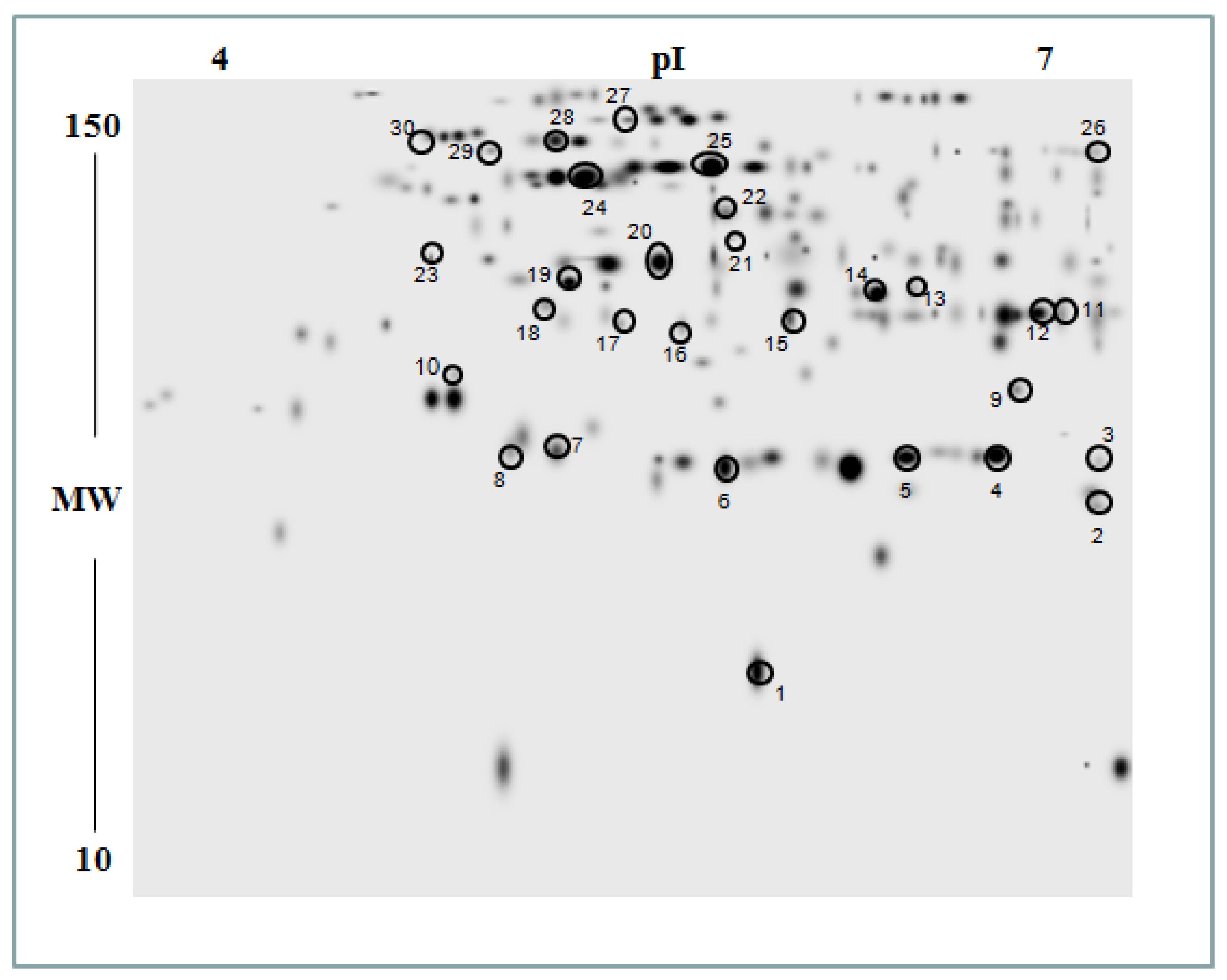 Plants 12 00428 g009 Plants 12 00428 g009