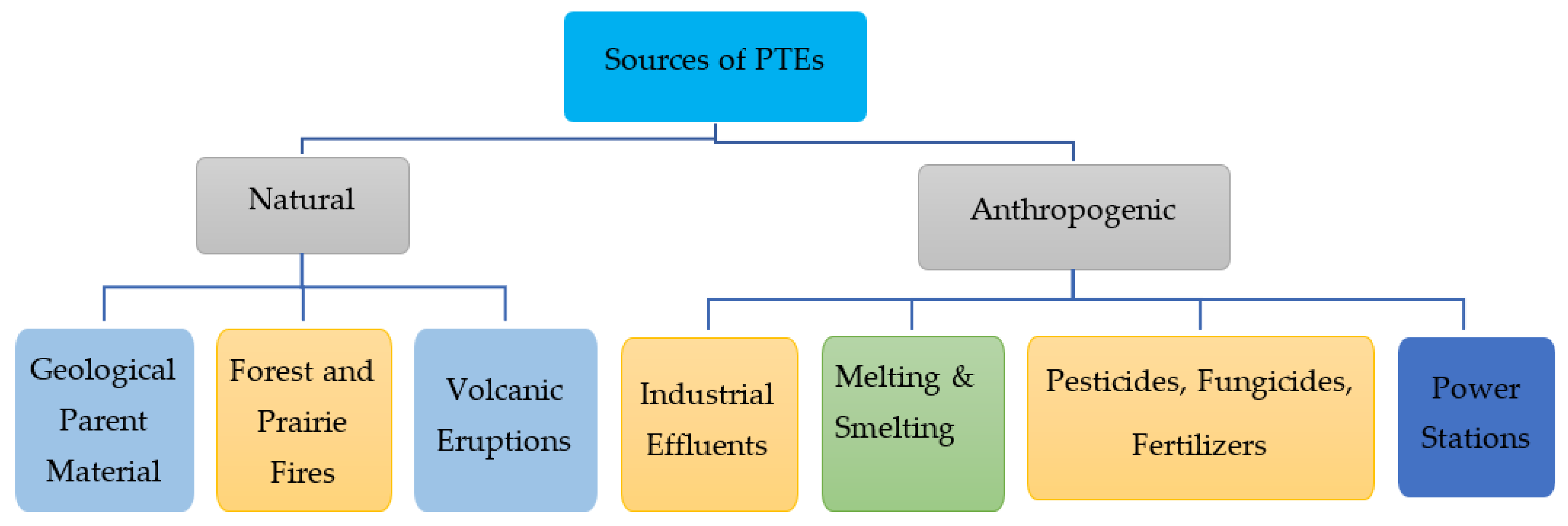 Plants 12 00429 g001