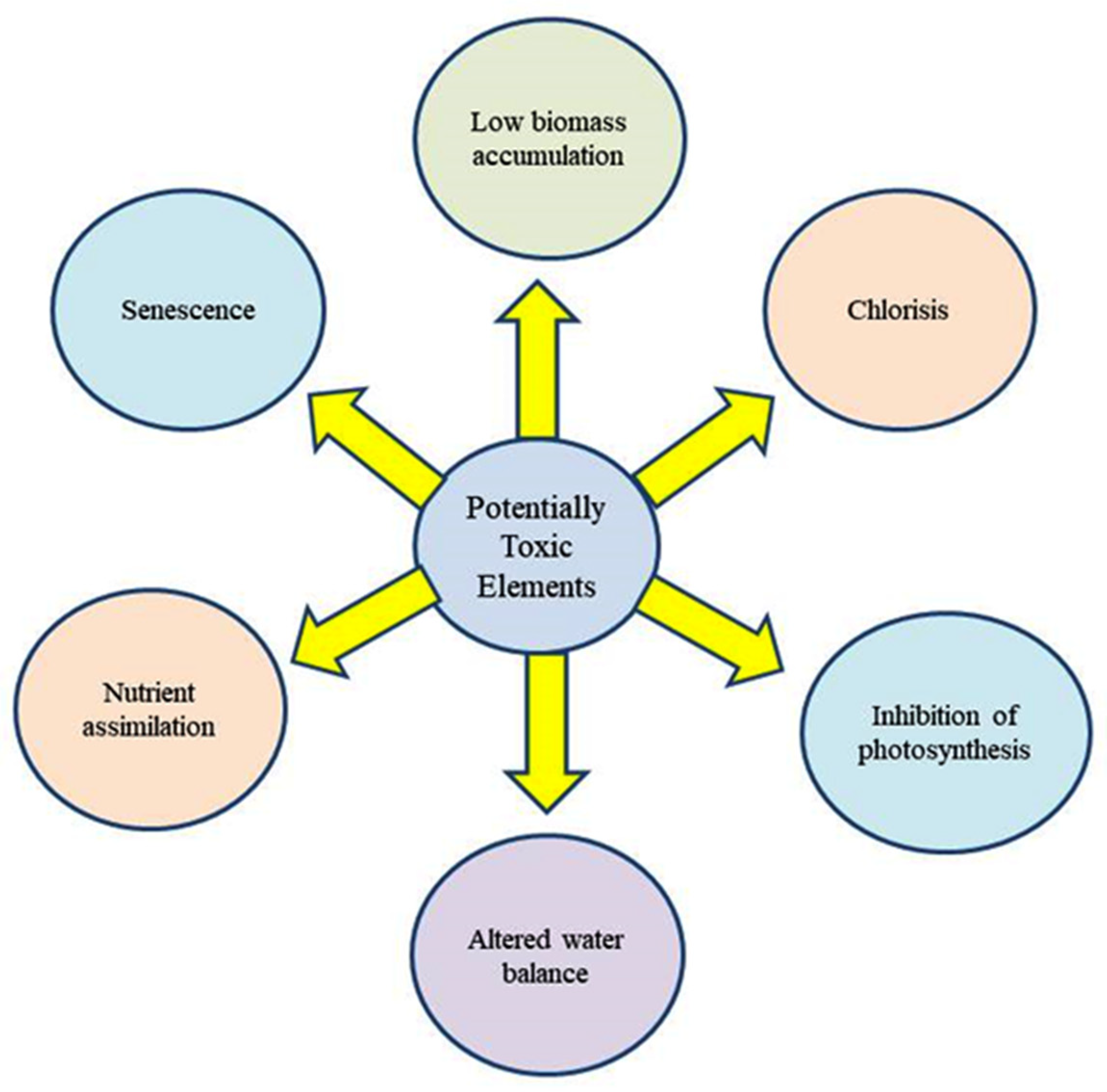 Plants 12 00429 g003