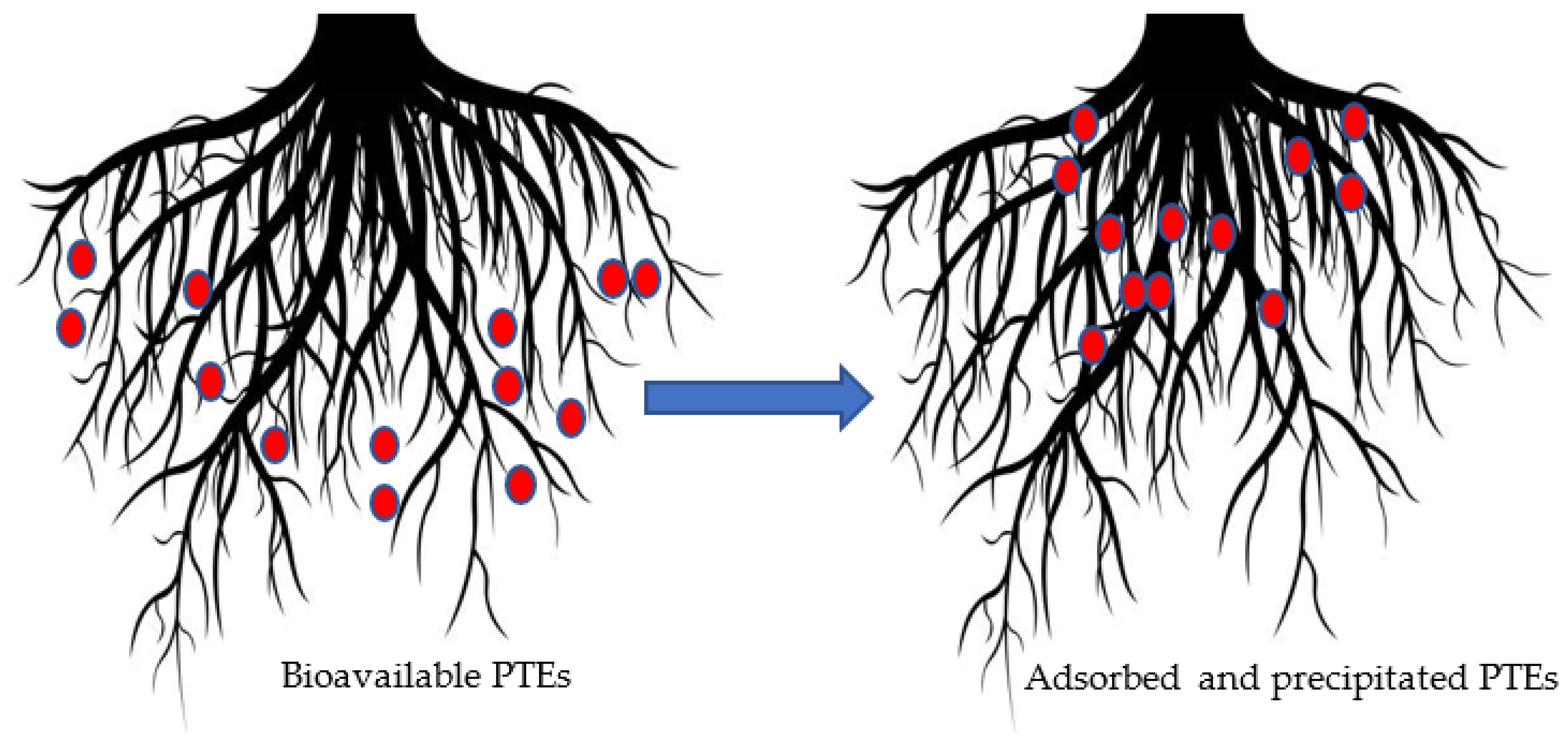 Plants 12 00429 g005
