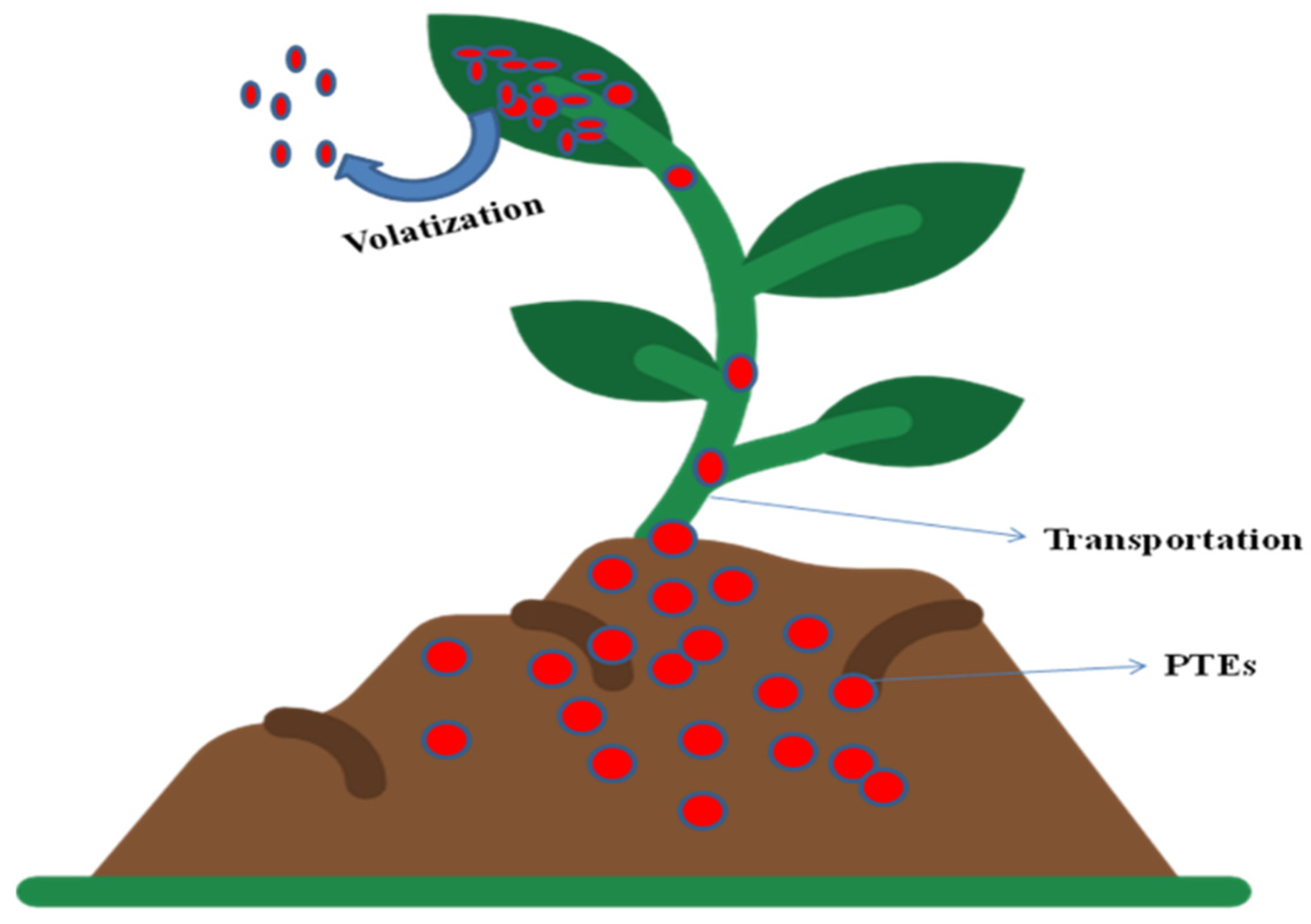 Plants 12 00429 g007