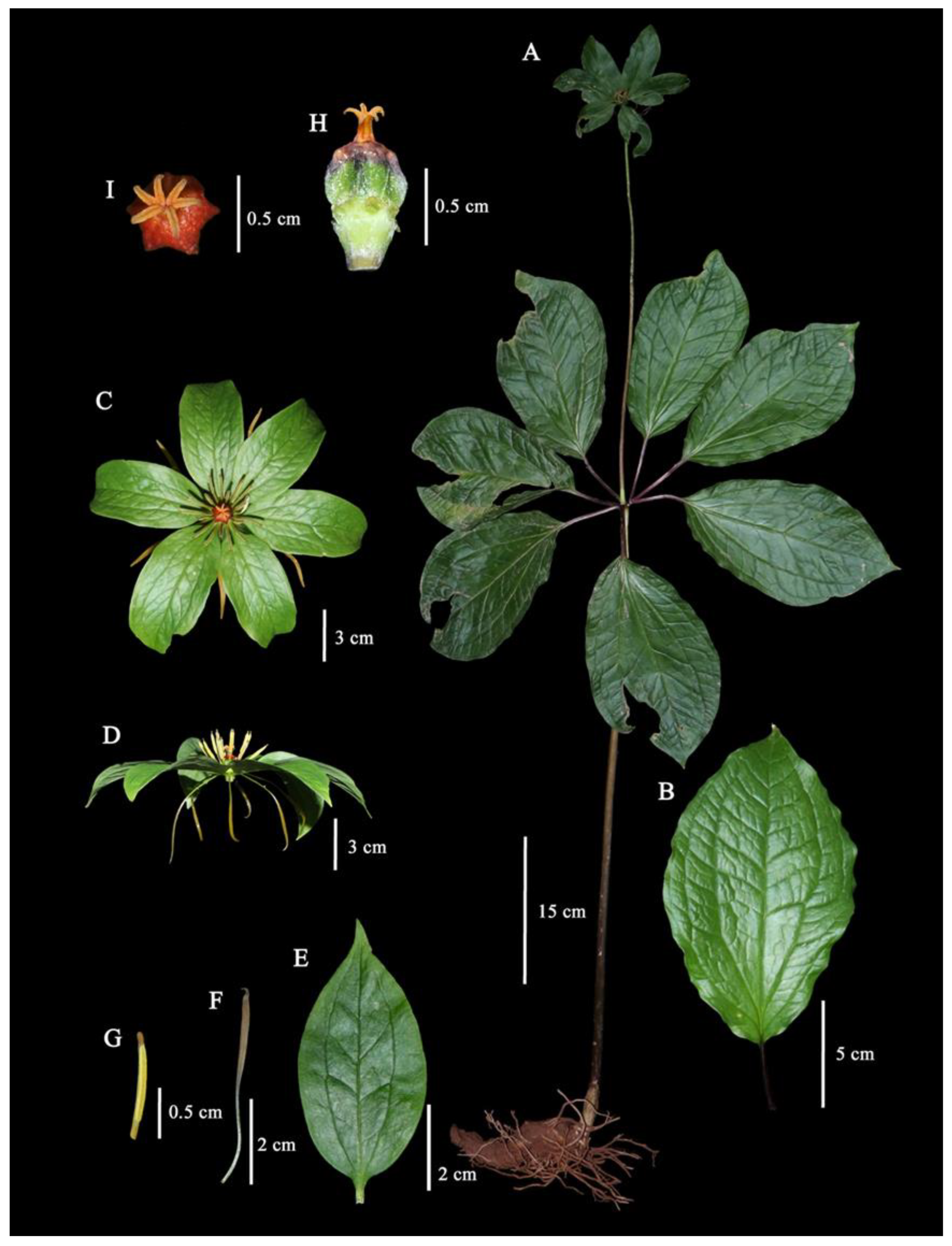 Plants 12 00430 g002 Plants 12 00430 g002