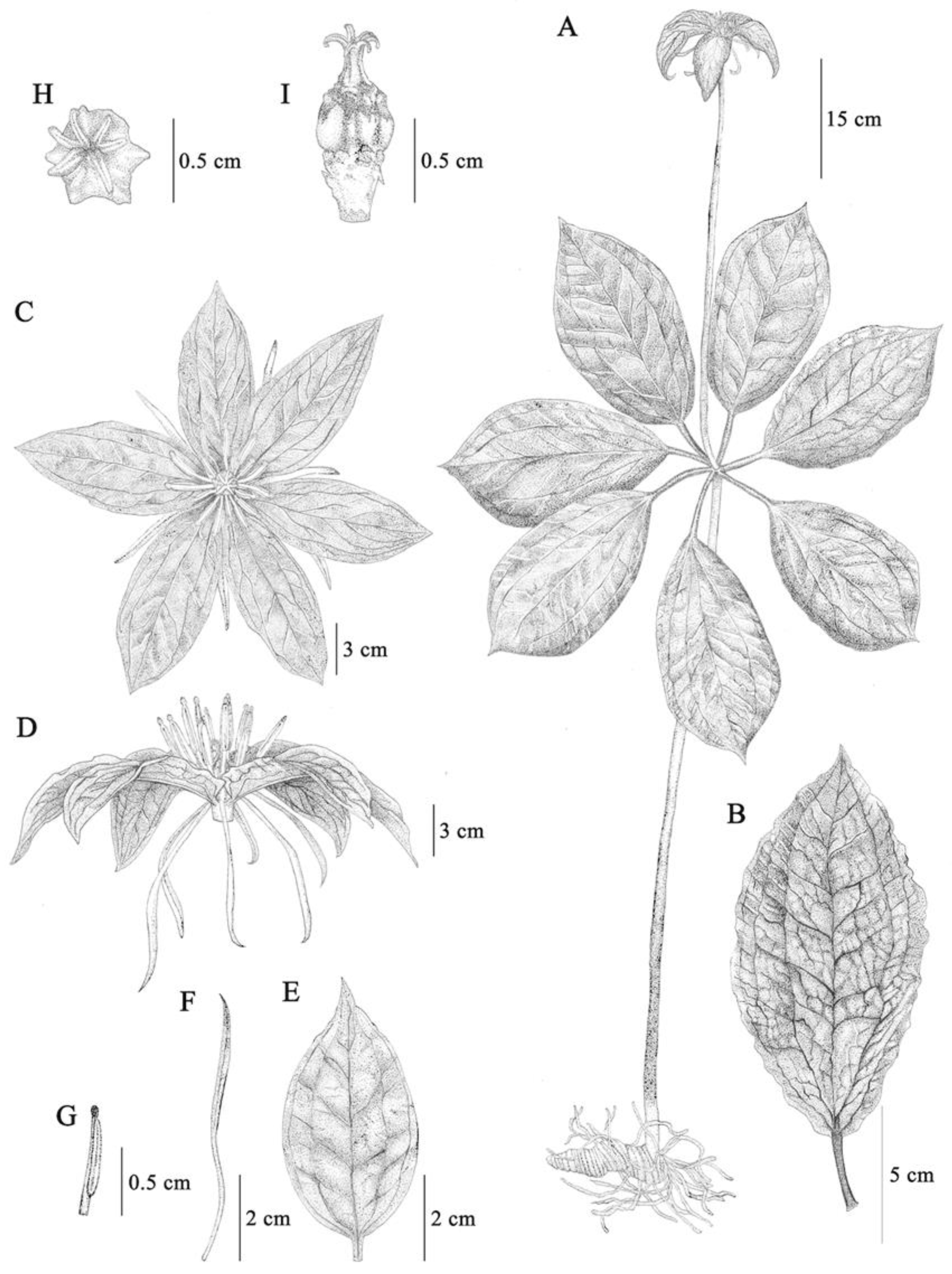 Plants 12 00430 g003 Plants 12 00430 g003