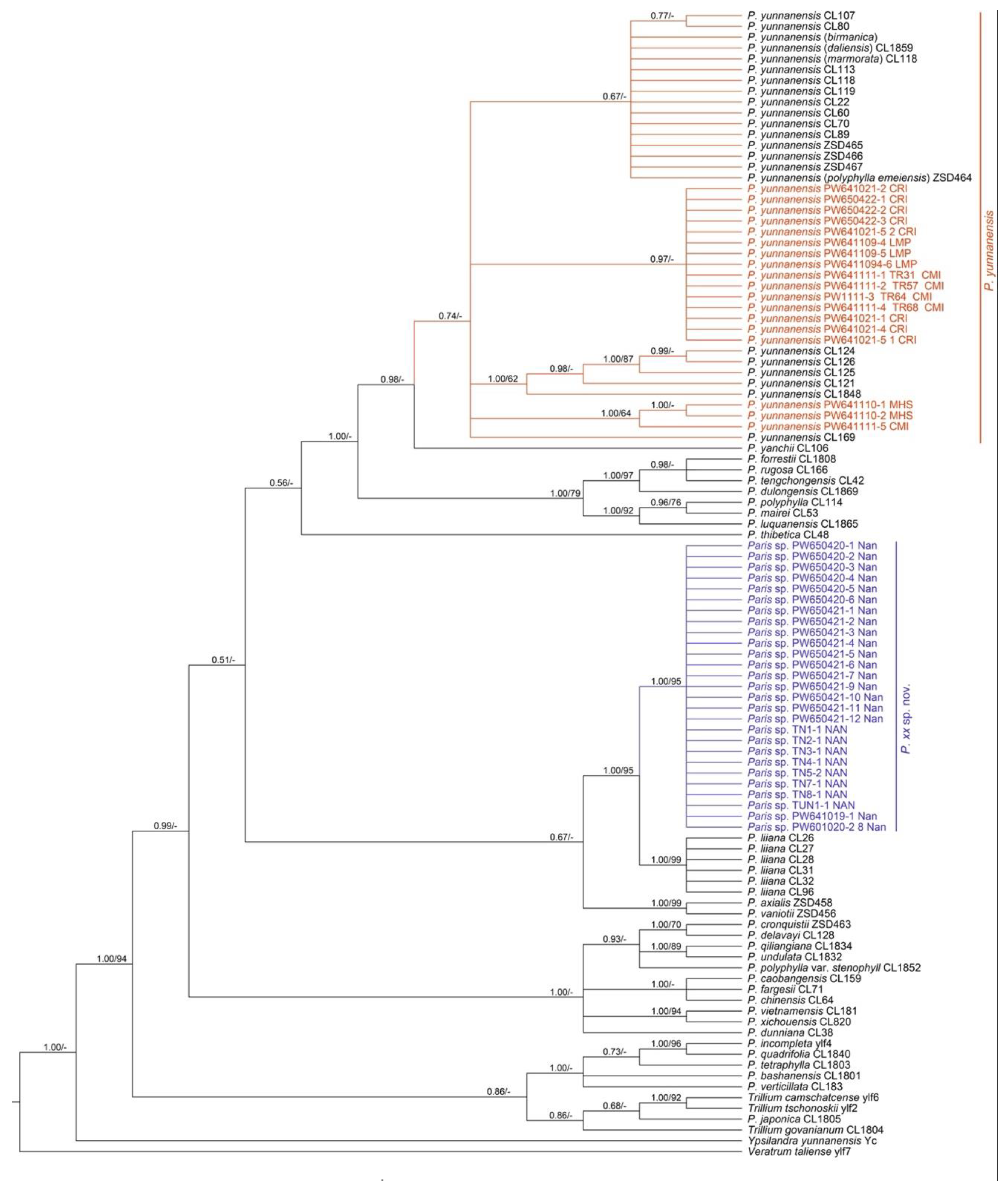 Plants 12 00430 g005 Plants 12 00430 g005