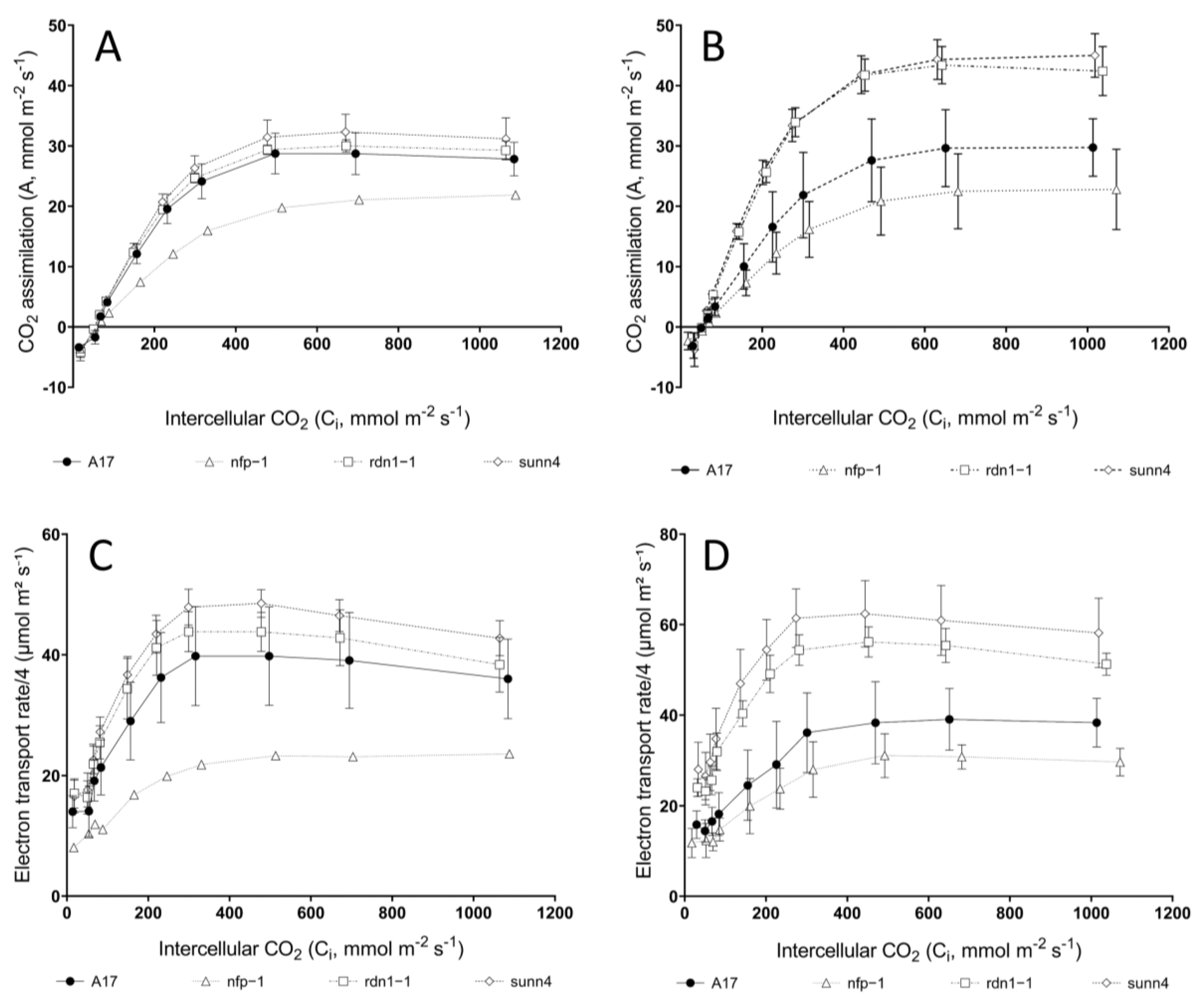 Plants 12 00441 g001 Plants 12 00441 g001