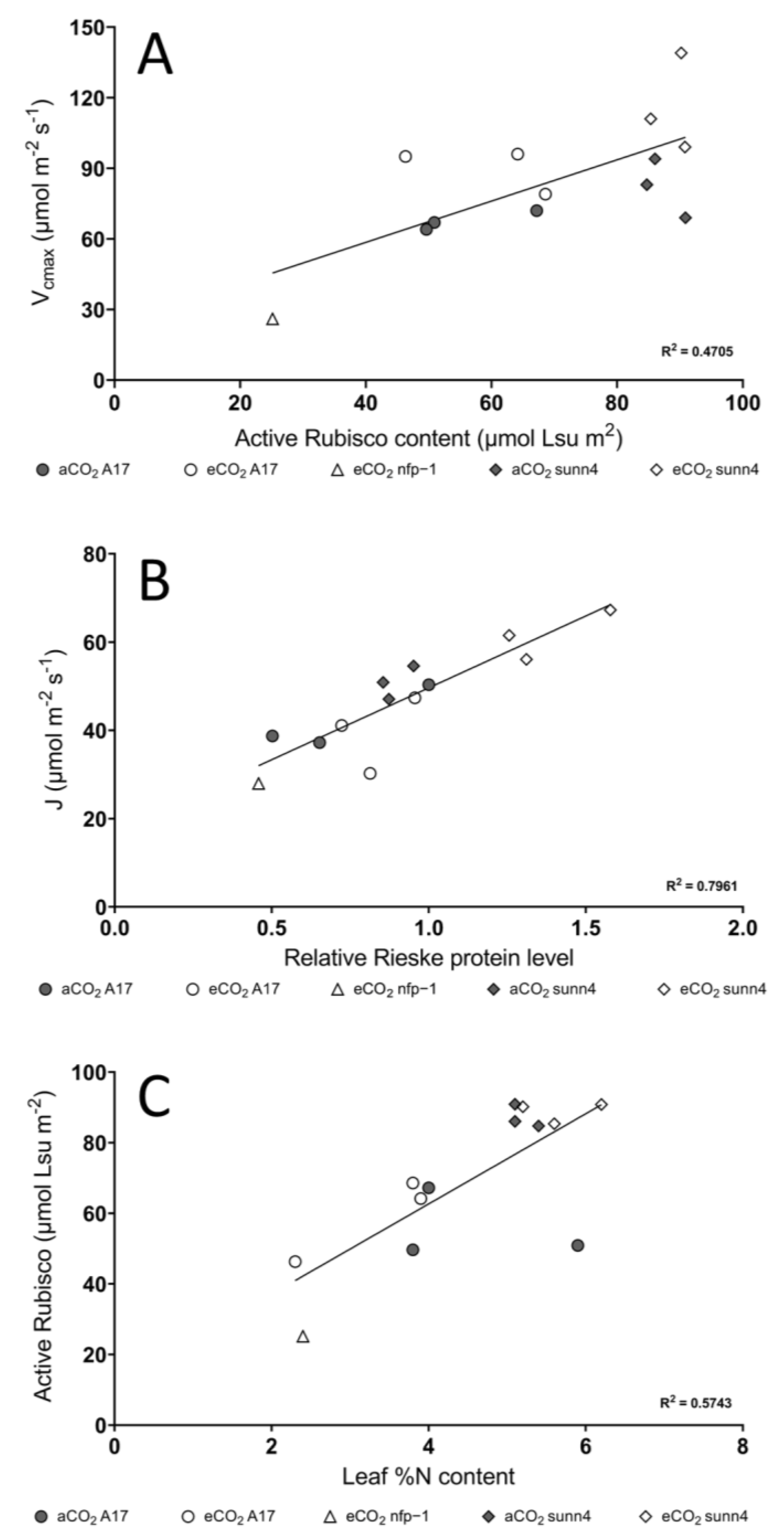 Plants 12 00441 g004 Plants 12 00441 g004