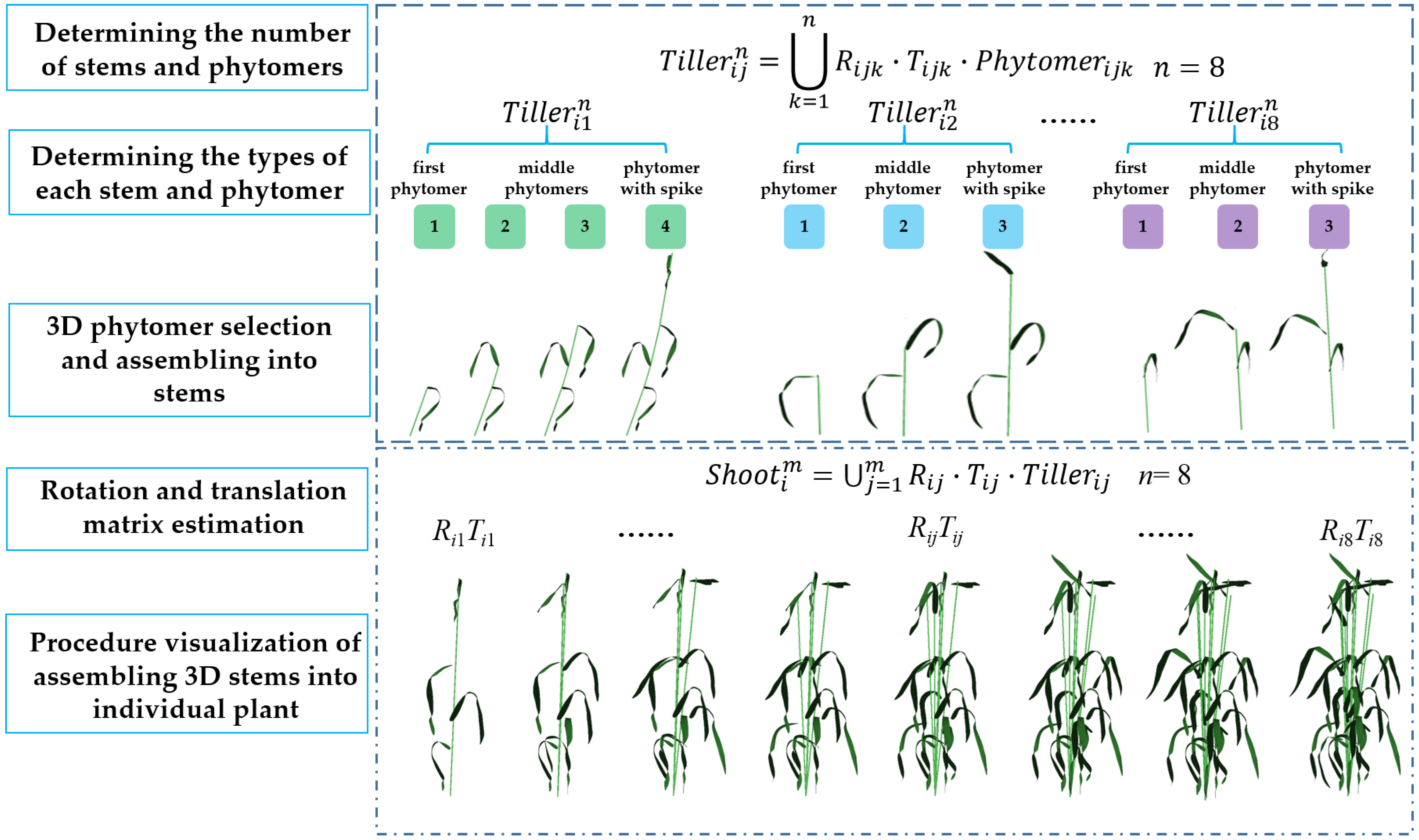 Plants 12 00445 g004