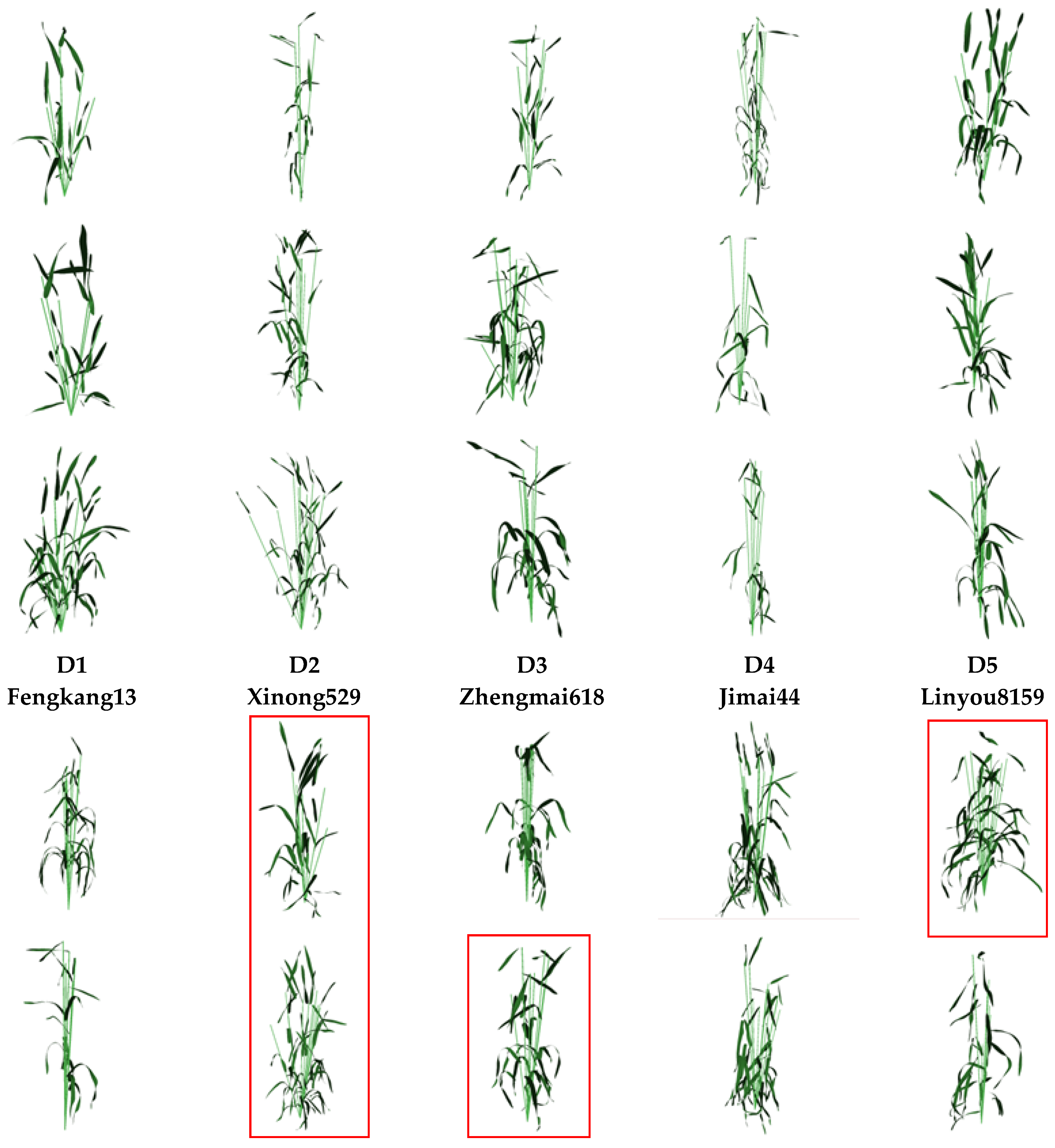Plants 12 00445 g005a