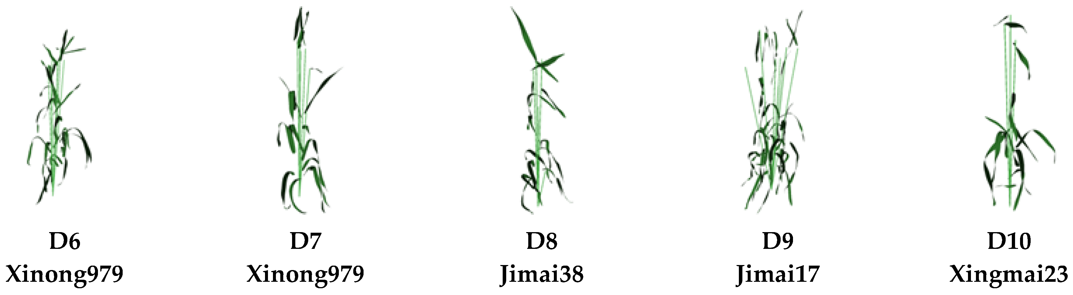 Plants 12 00445 g005b