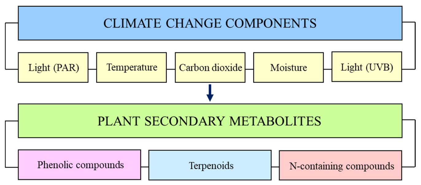 Plants 12 00447 g001