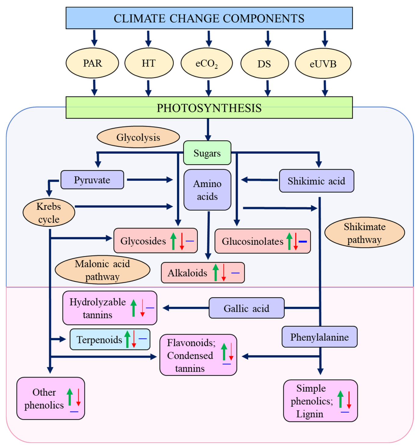 Plants 12 00447 g002