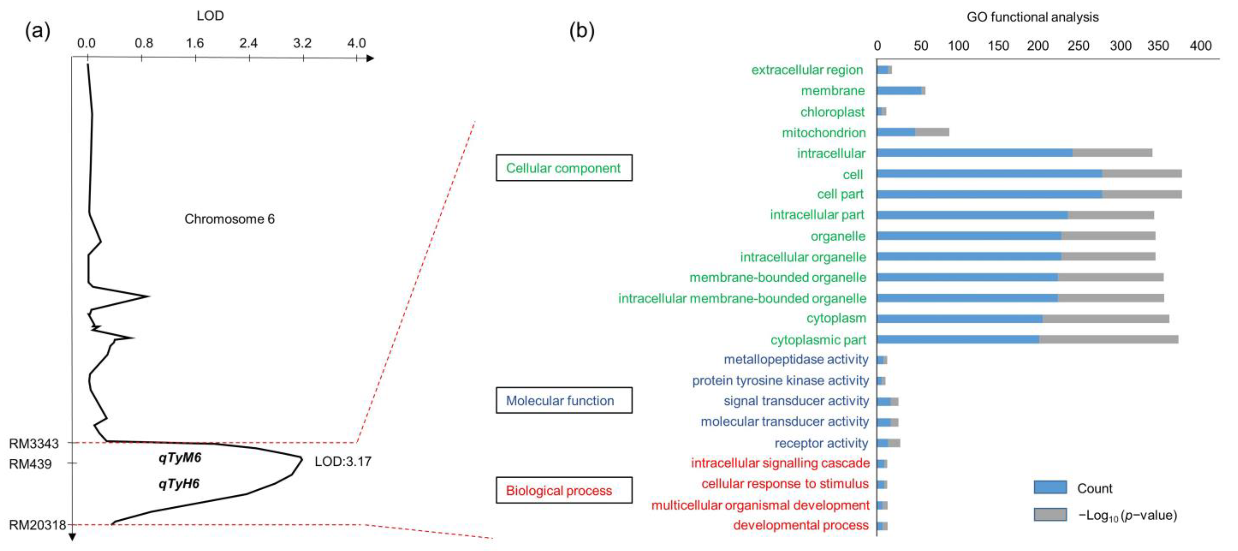 Plants 12 00449 g004