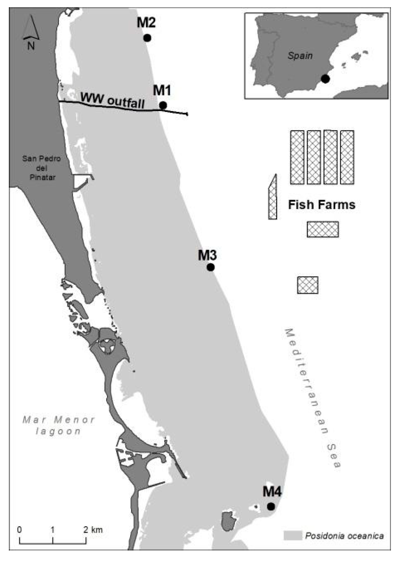 Plants 12 00457 g008 Plants 12 00457 g008