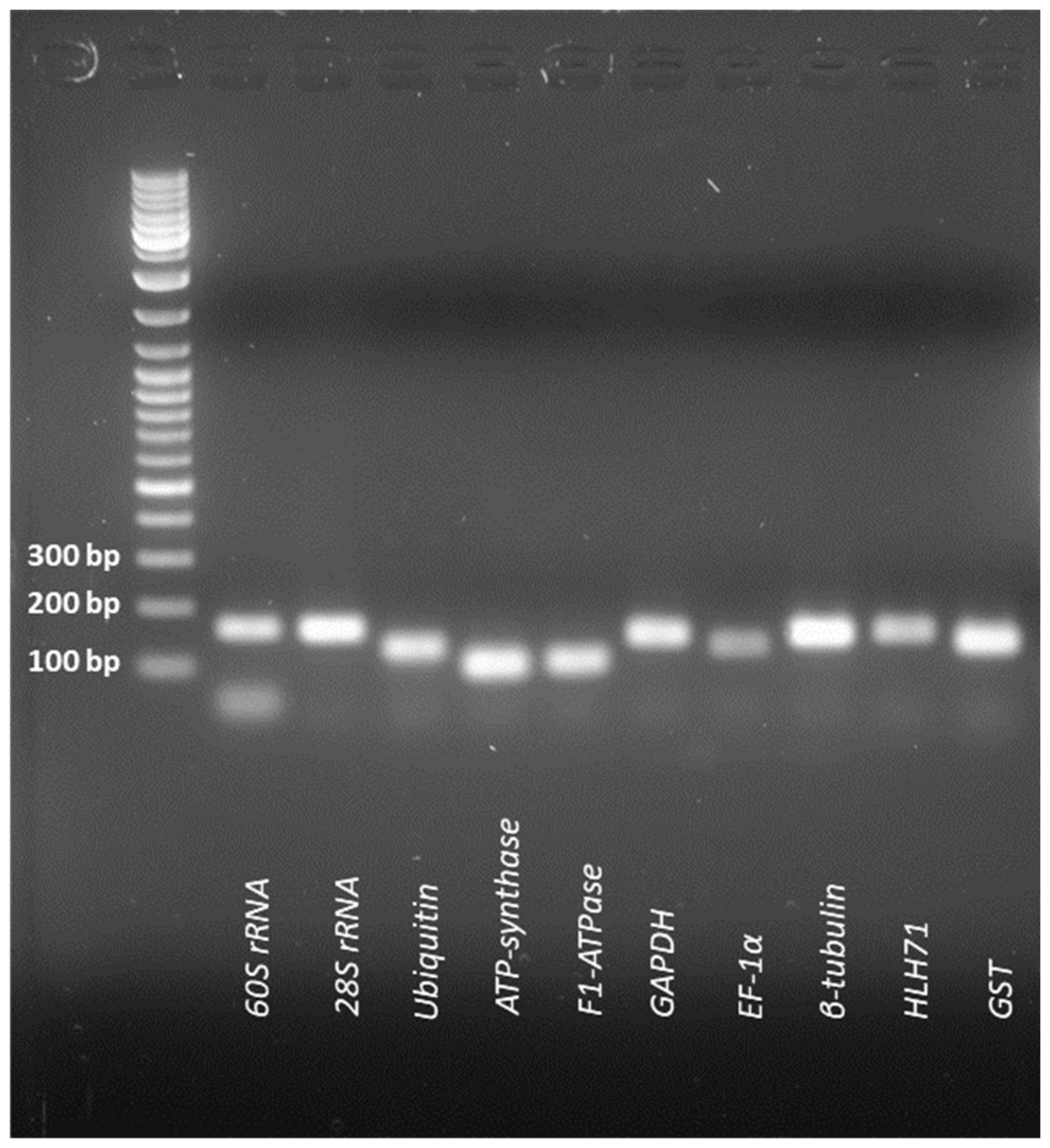 Plants 12 00470 g002