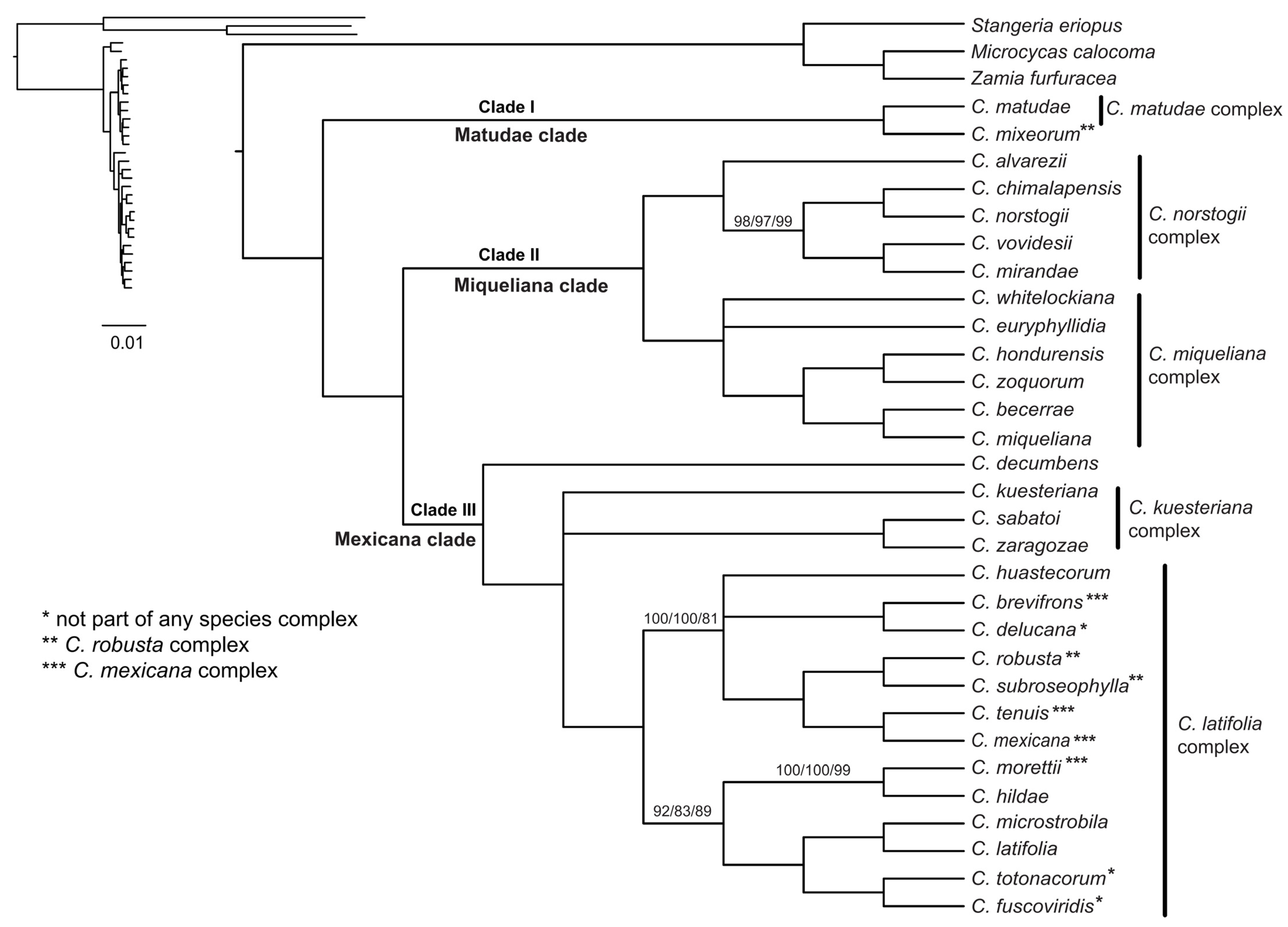 Plants 12 00478 g002