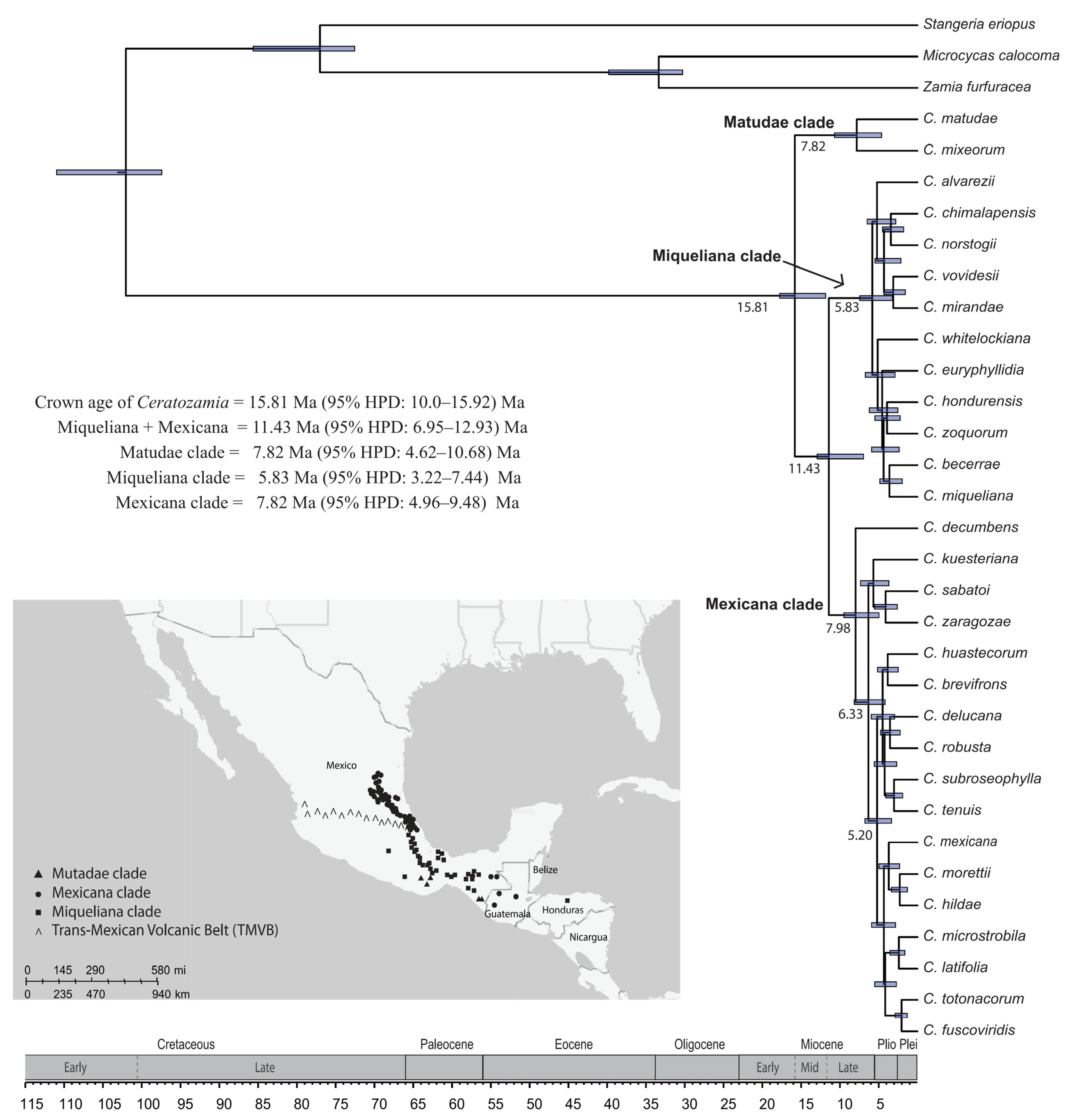 Plants 12 00478 g004