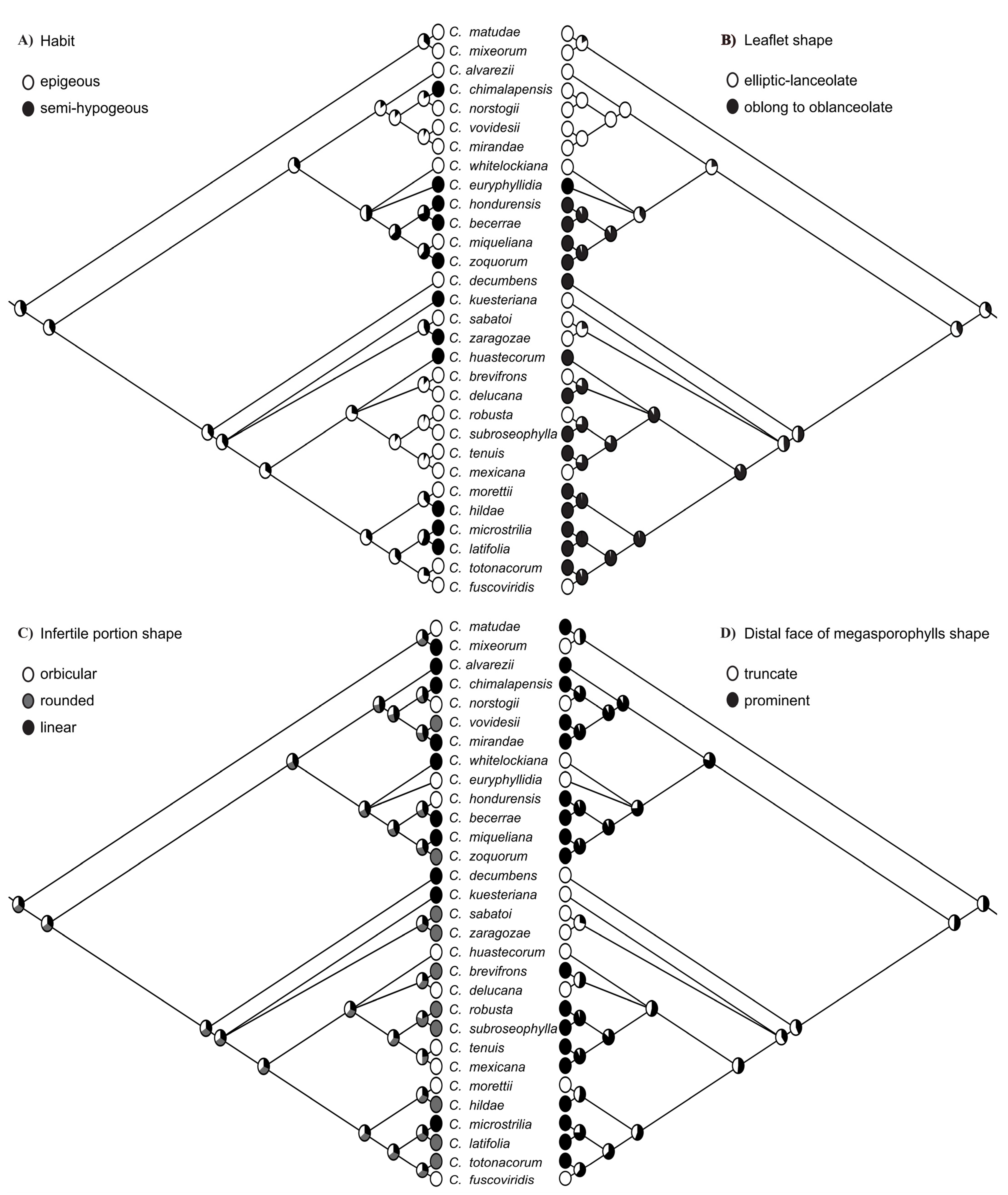 Plants 12 00478 g006