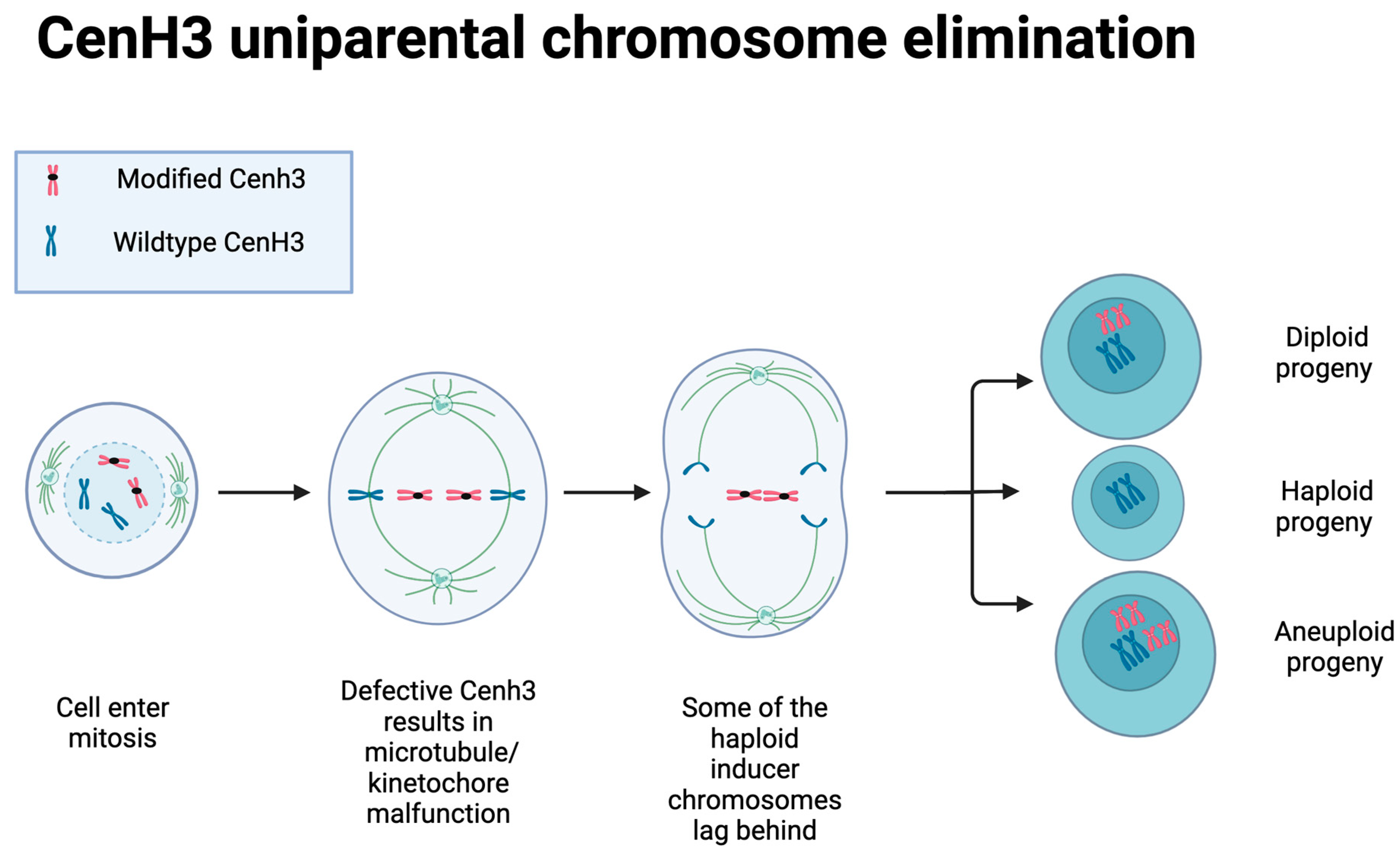 Plants 12 00485 g002