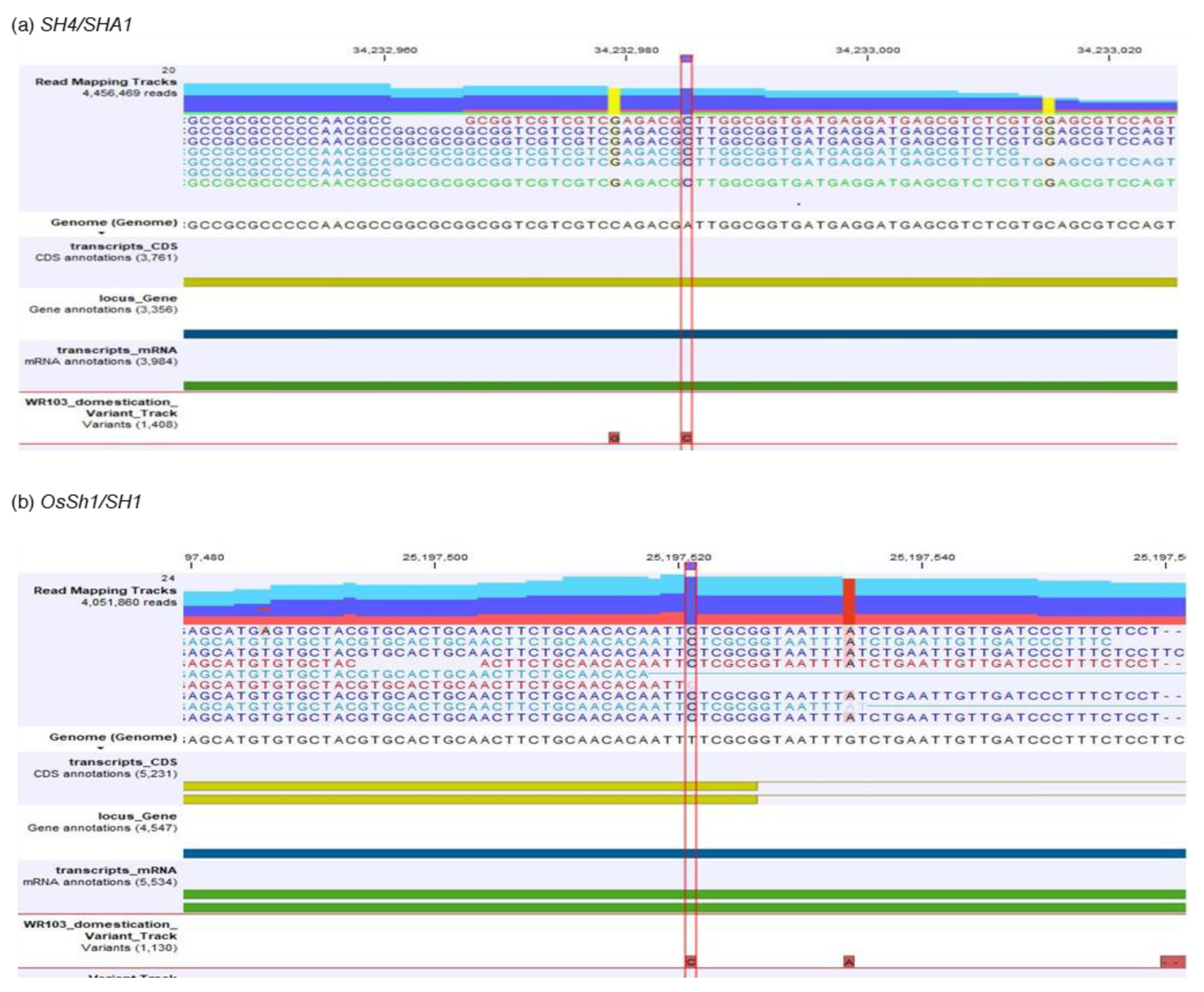 Plants 12 00489 g002