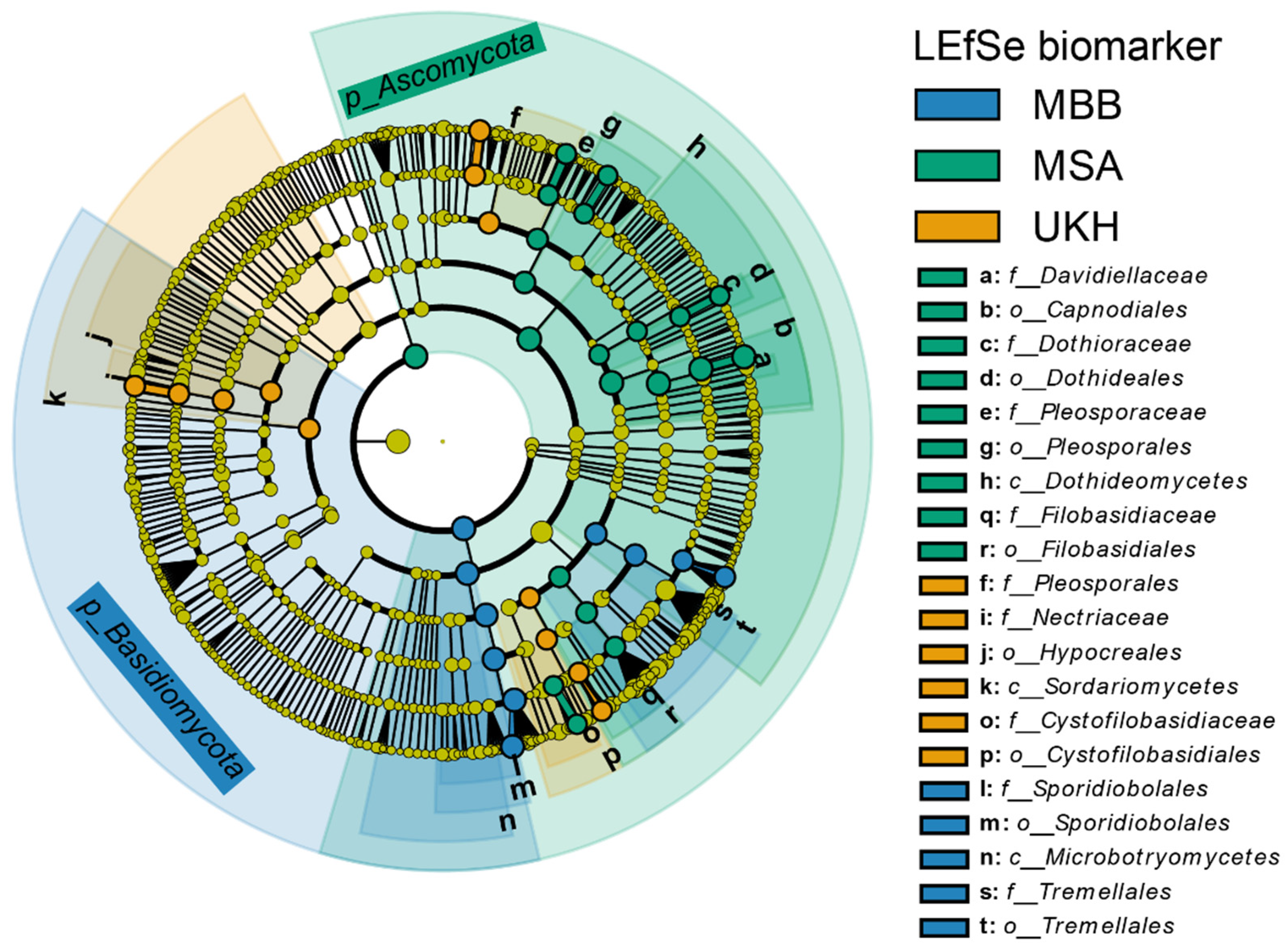 Plants 12 00507 g010