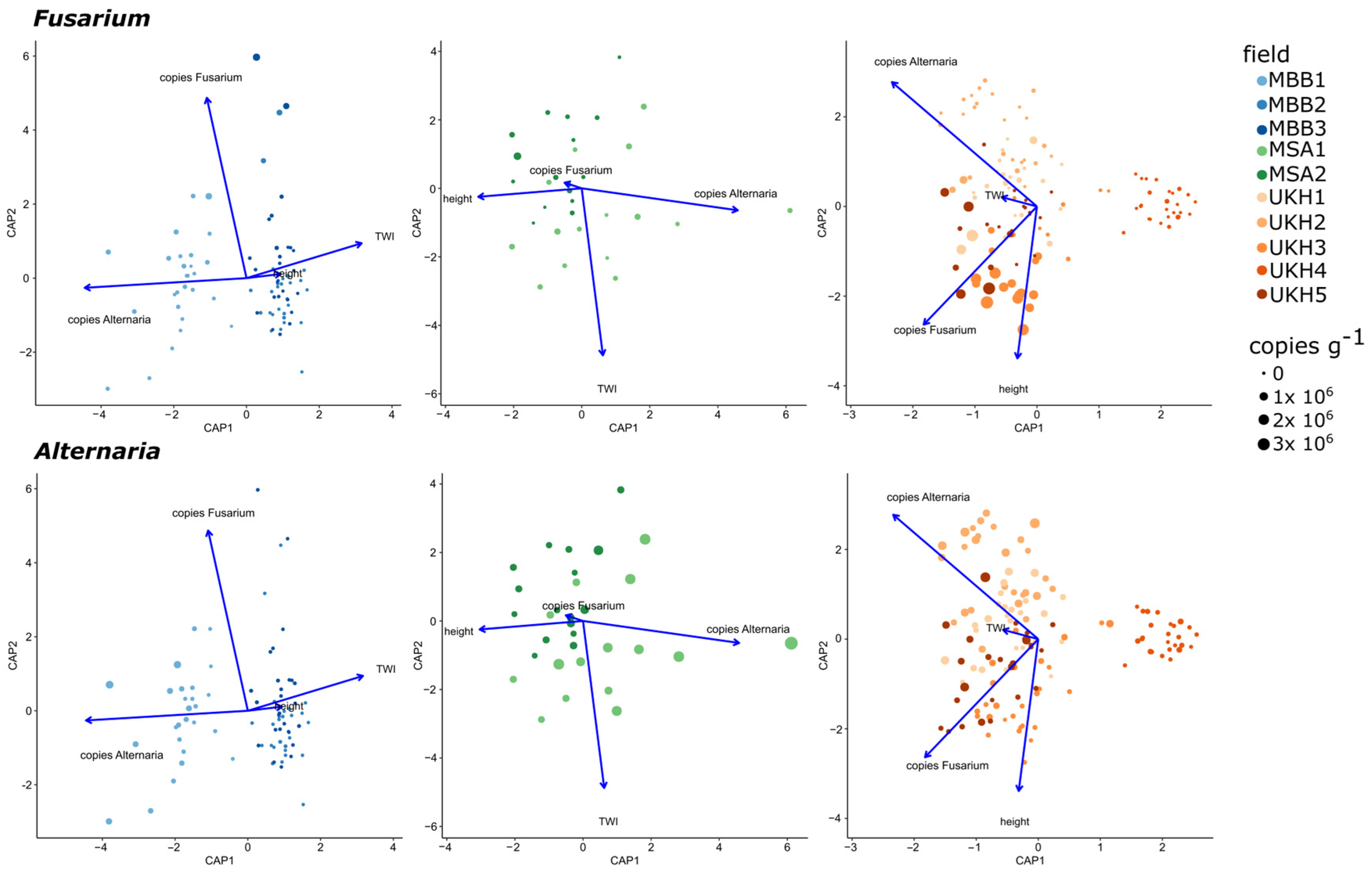 Plants 12 00507 g011