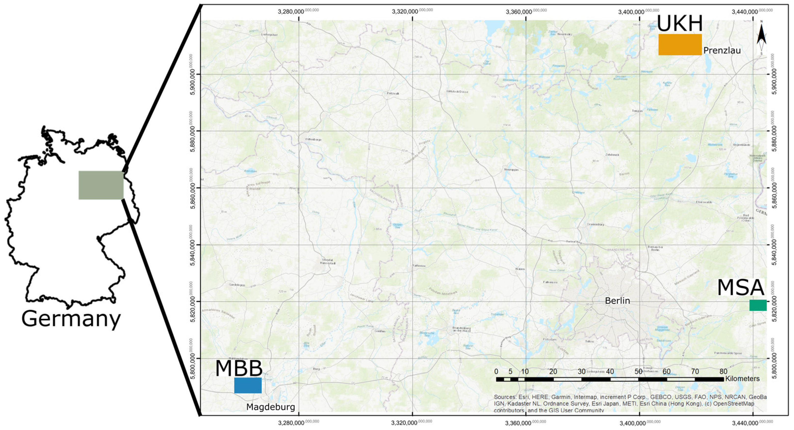 Plants 12 00507 g012