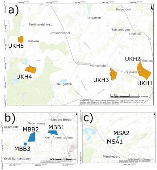 Plants 12 00507 g013