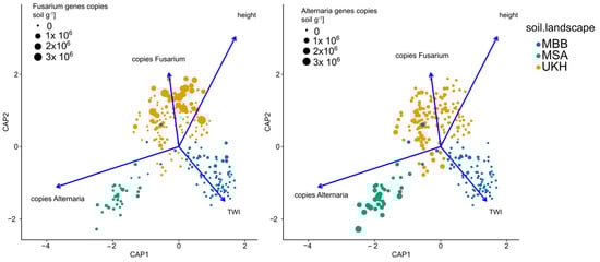 Plants 12 00507 g0a2