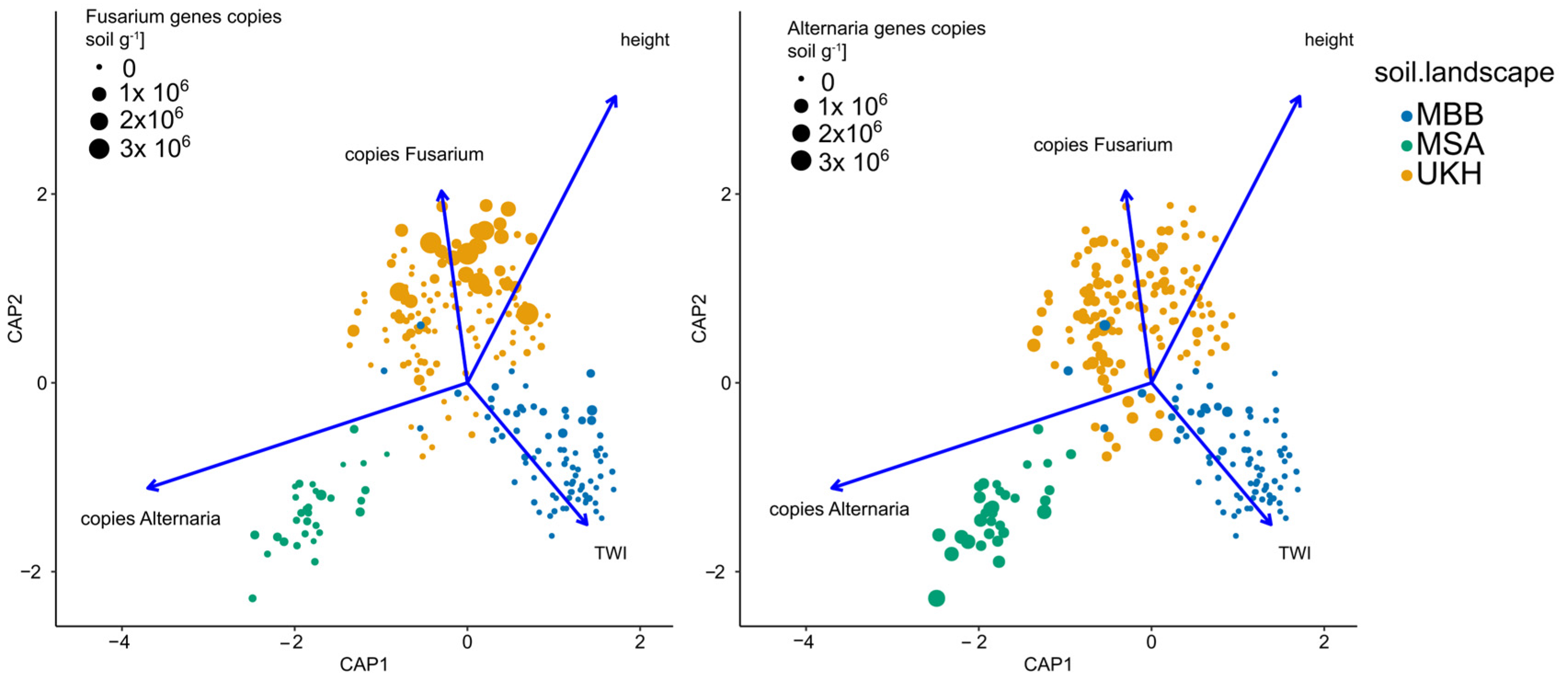 Plants 12 00507 g0a2