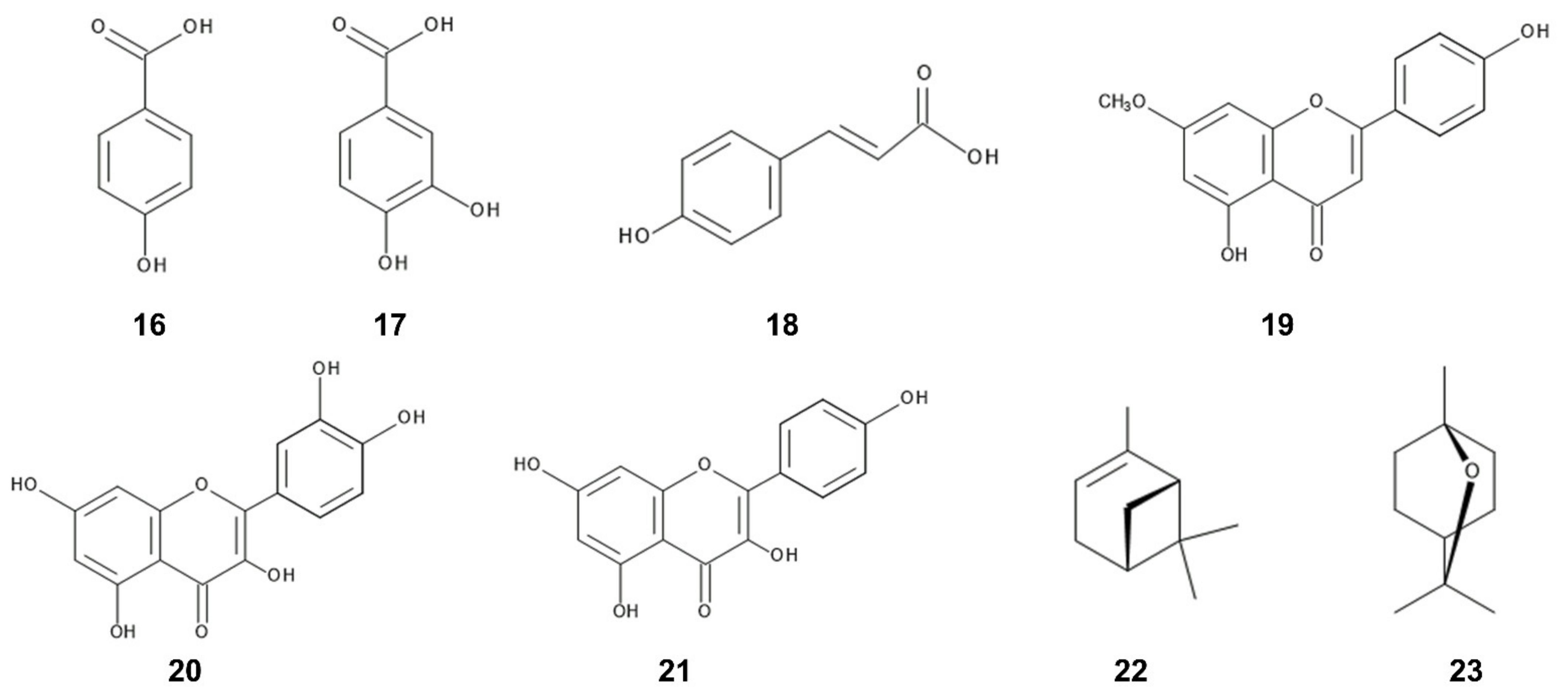 Plants 12 00521 g004