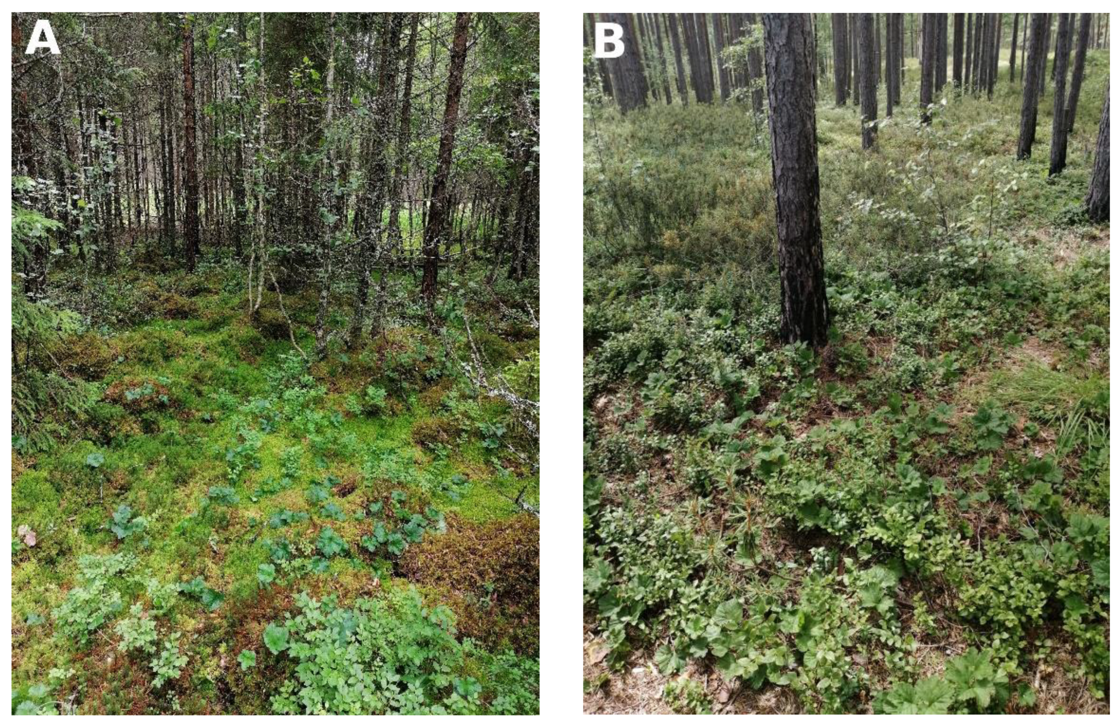 Plants 12 00528 g001