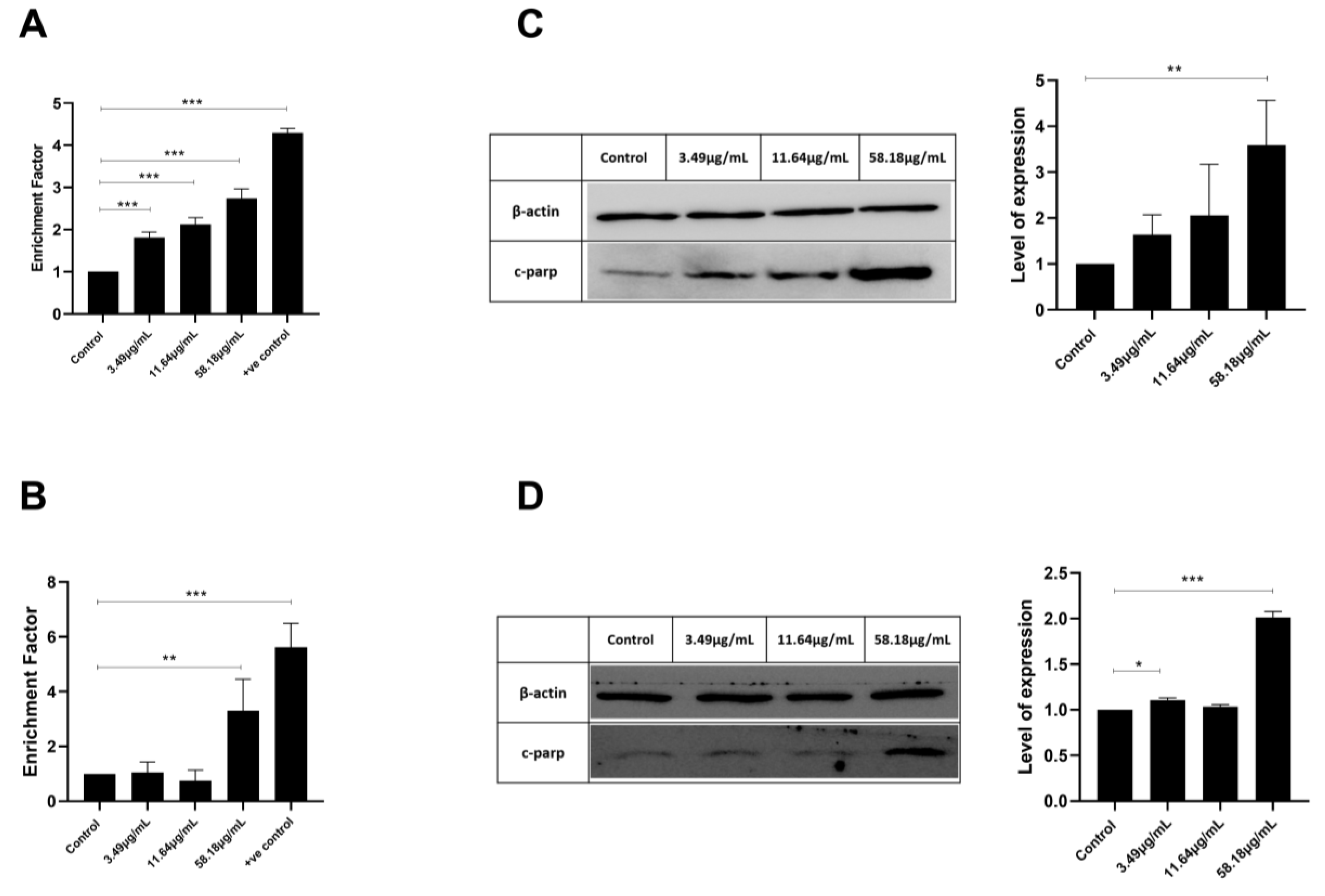 Plants 12 00529 g003 Plants 12 00529 g003