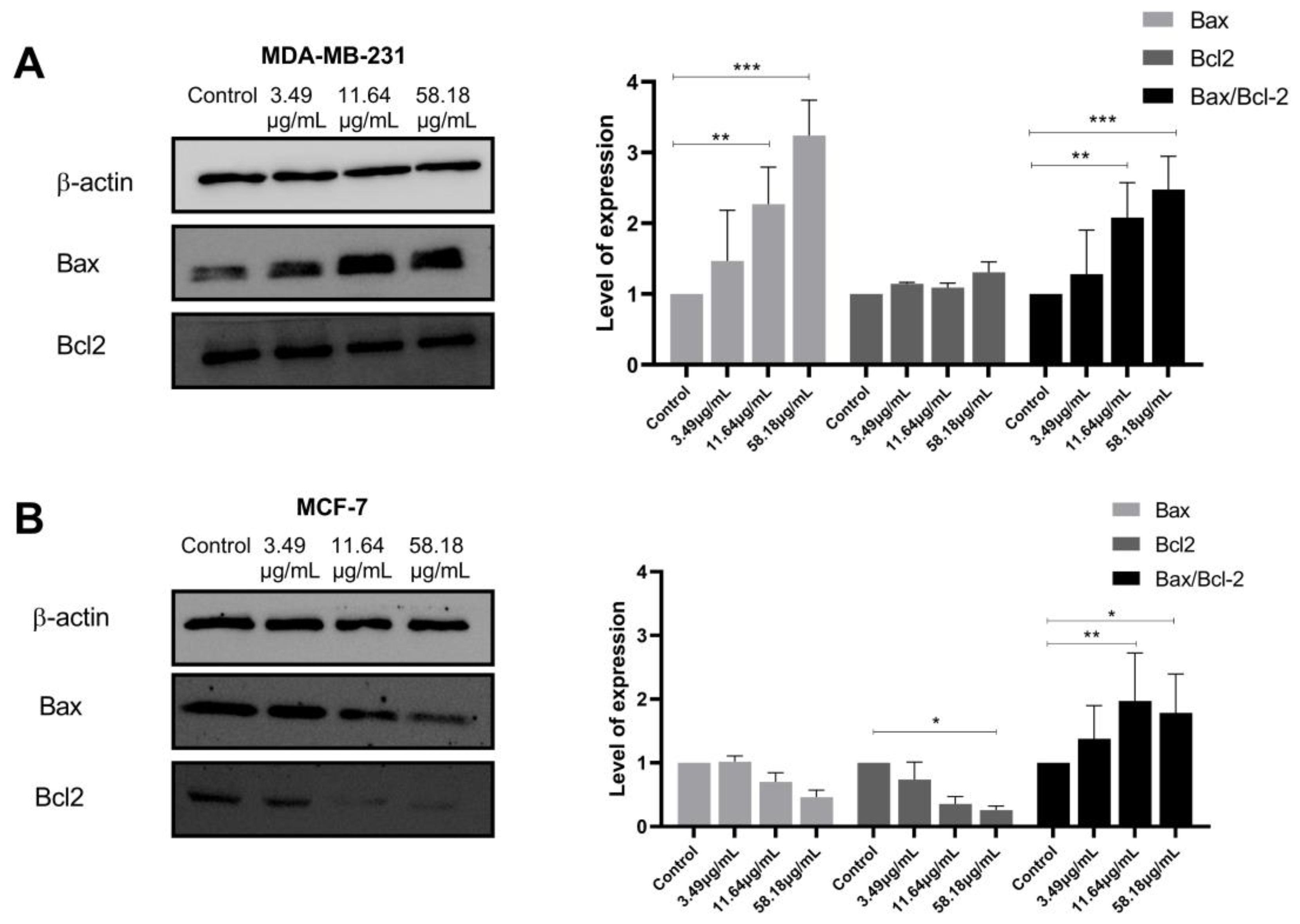 Plants 12 00529 g004 Plants 12 00529 g004